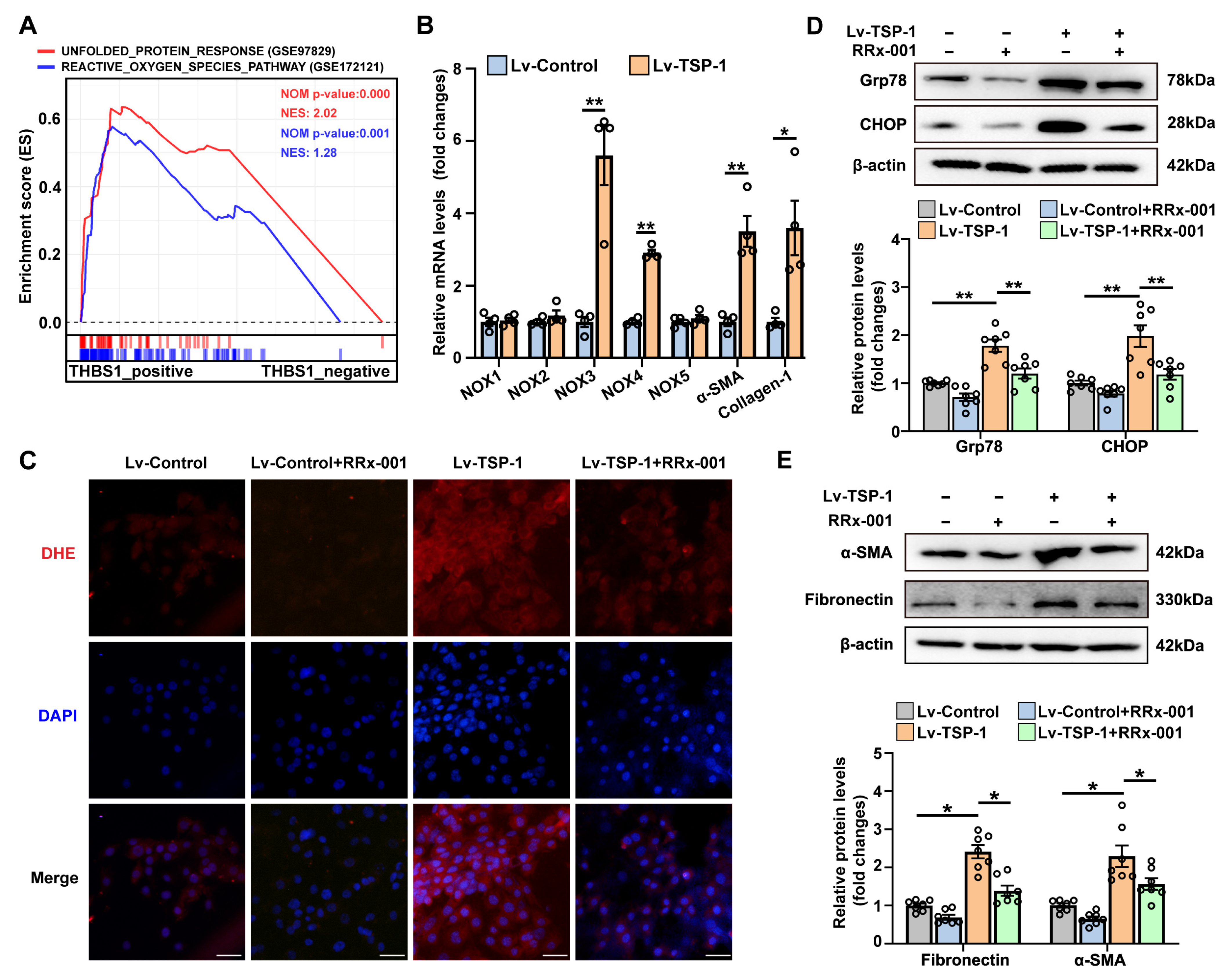 Antioxidants 12 02024 g007