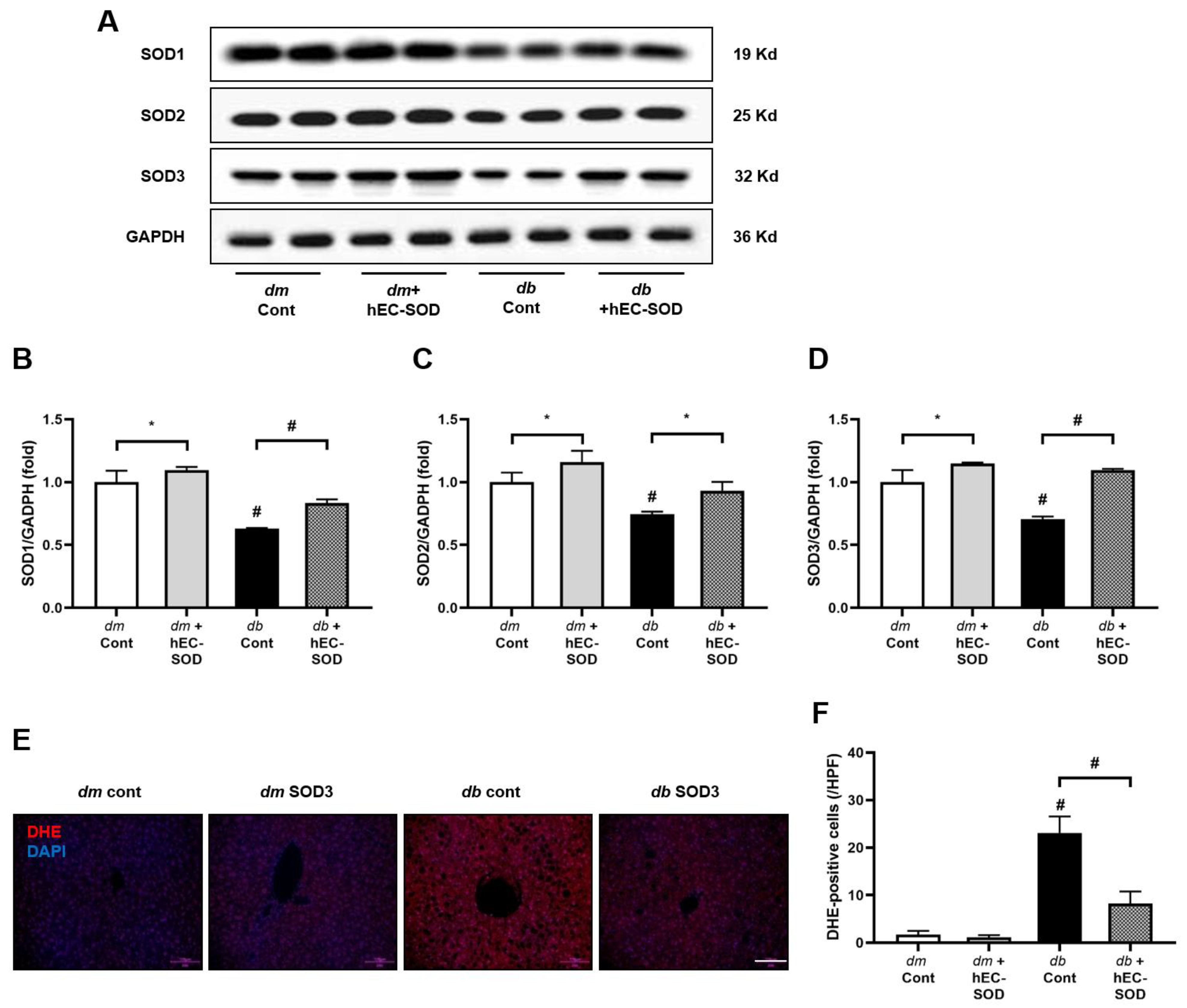 Antioxidants 12 02040 g002