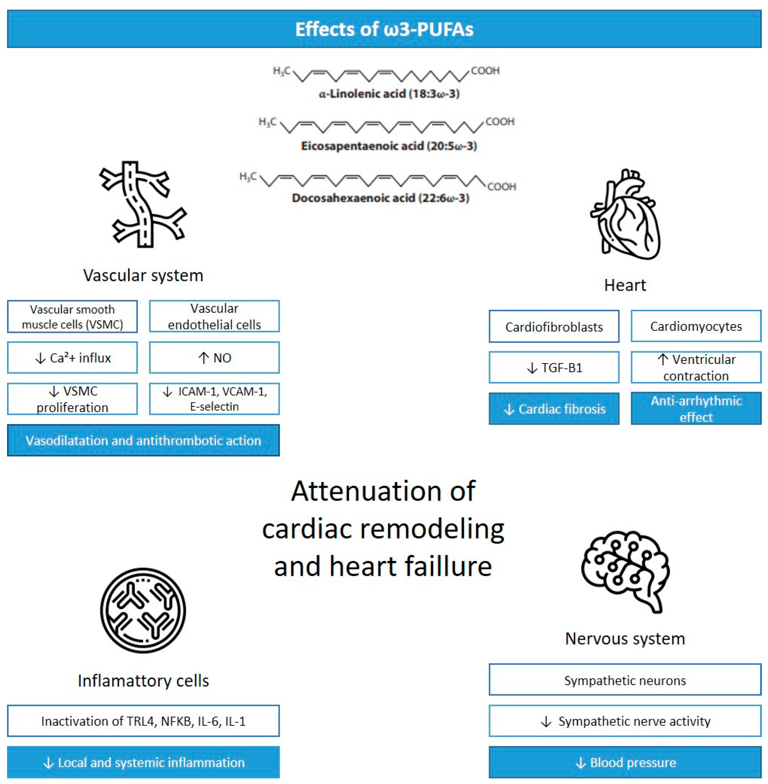 Antioxidants 12 02067 g001