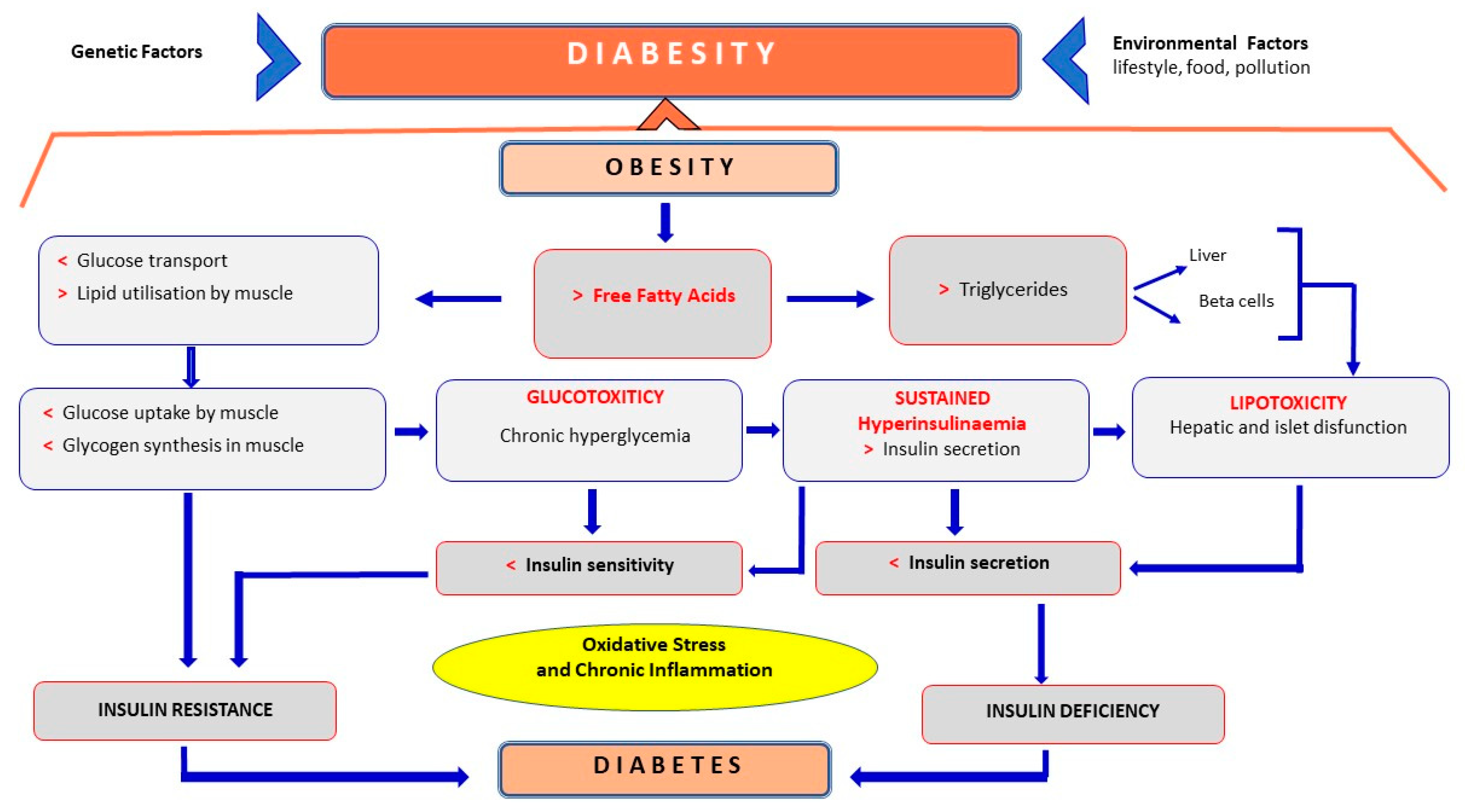 Antioxidants Free Full Text Metabolic Syndrome A Narrative