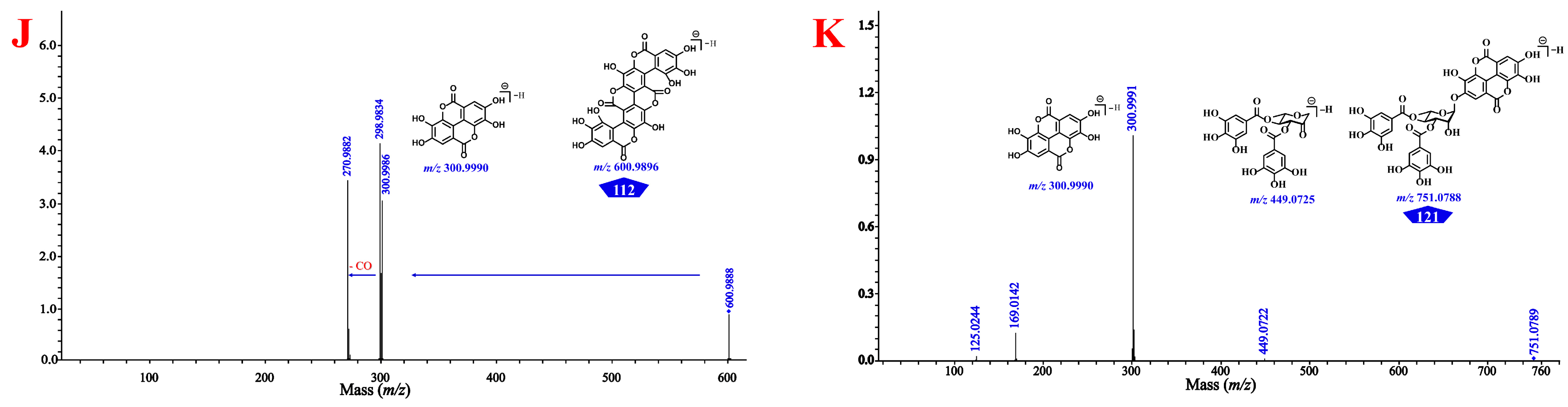 Antioxidants 12 02093 g003b