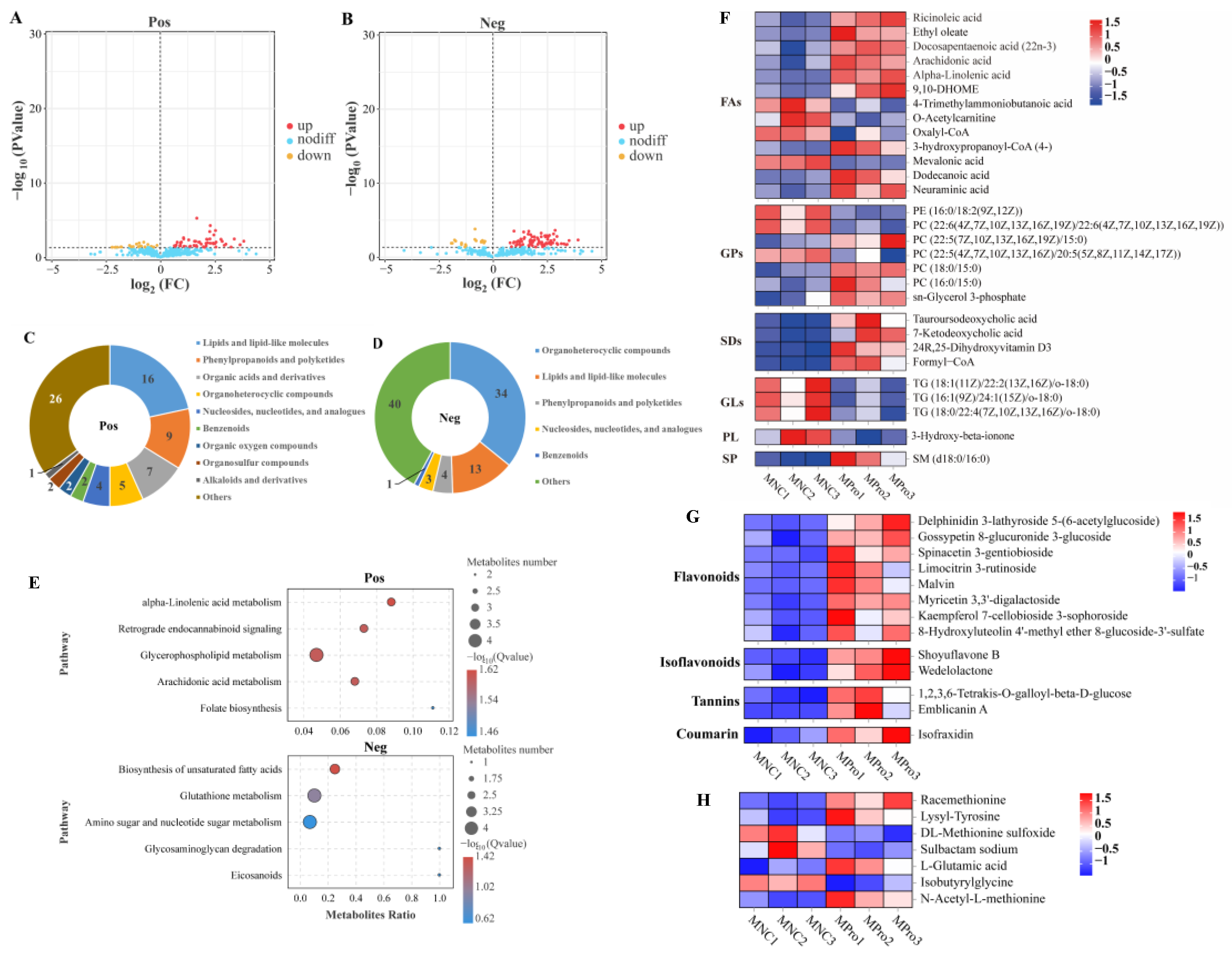 Antioxidants 12 02095 g002