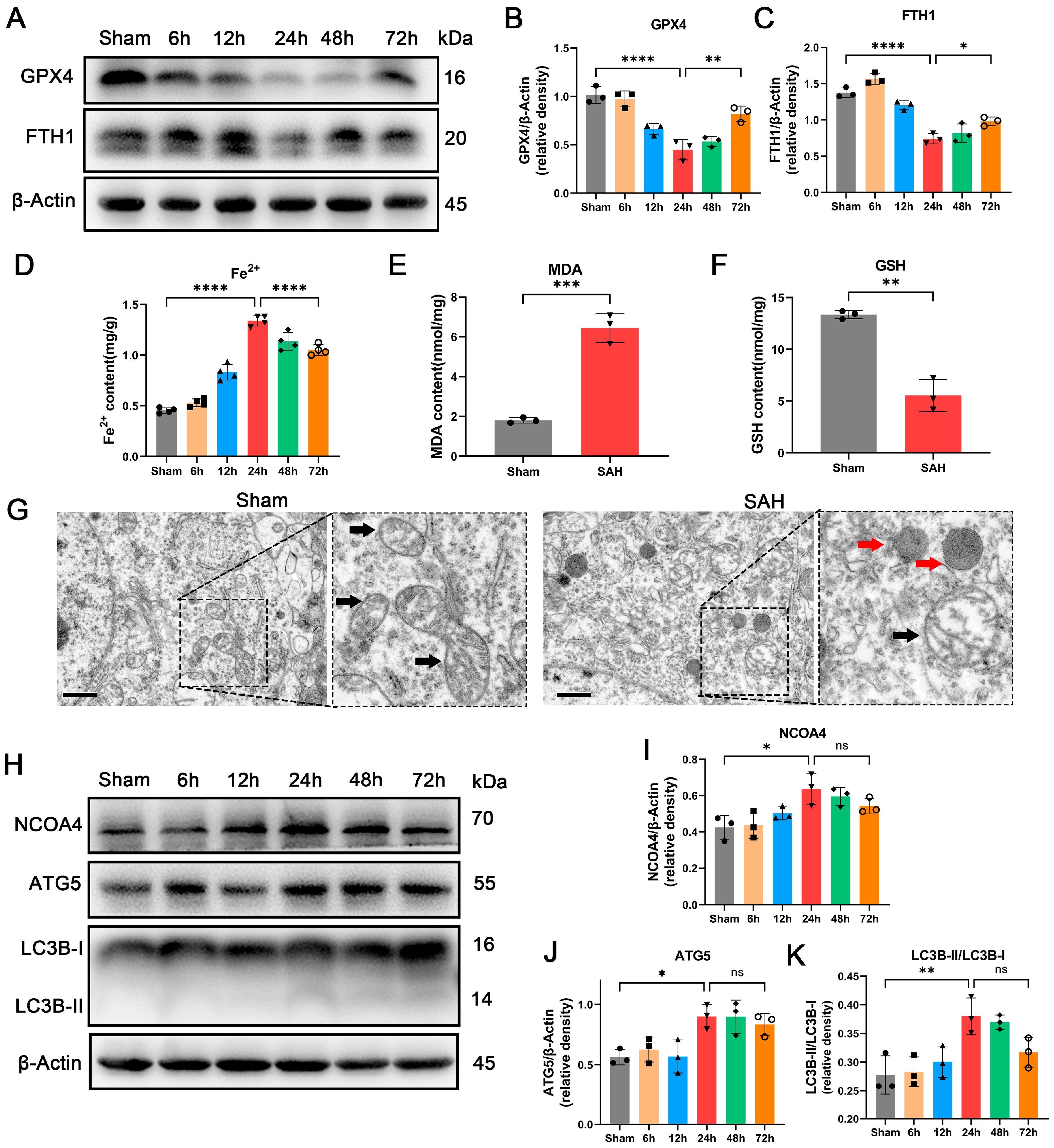 Antioxidants 12 02097 g001