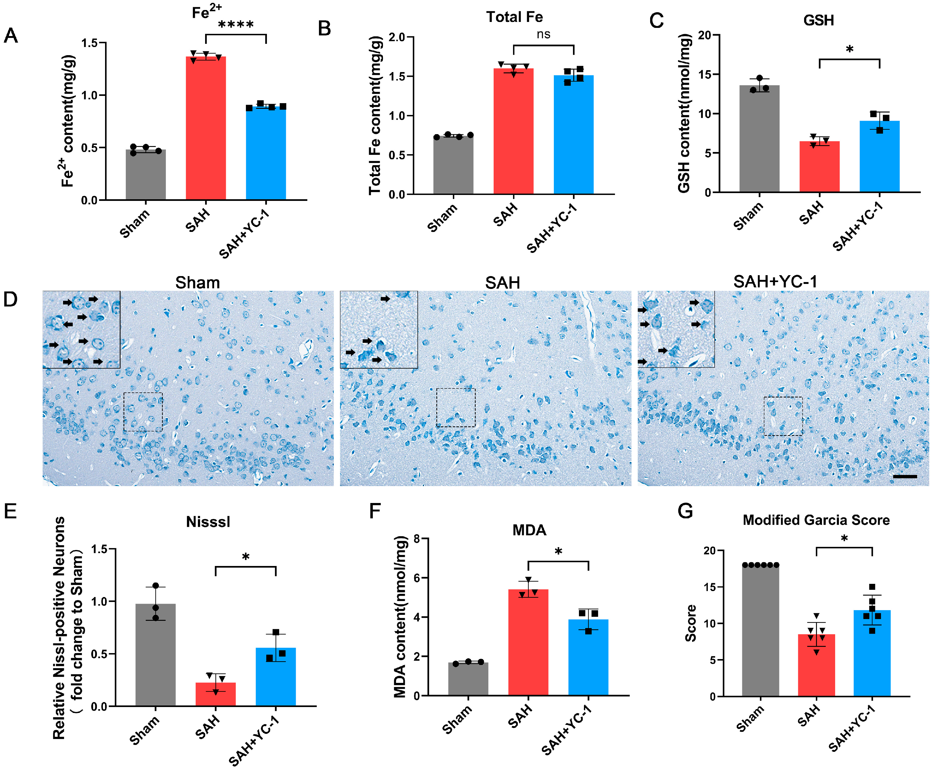 Antioxidants 12 02097 g007