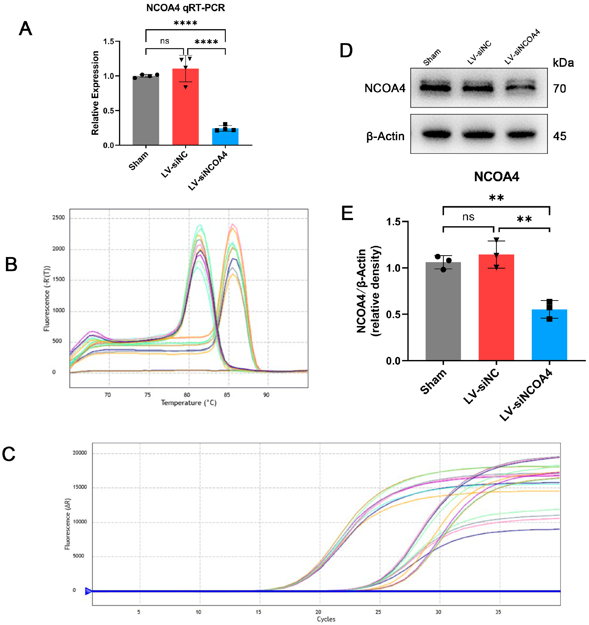 Antioxidants 12 02097 g0a1