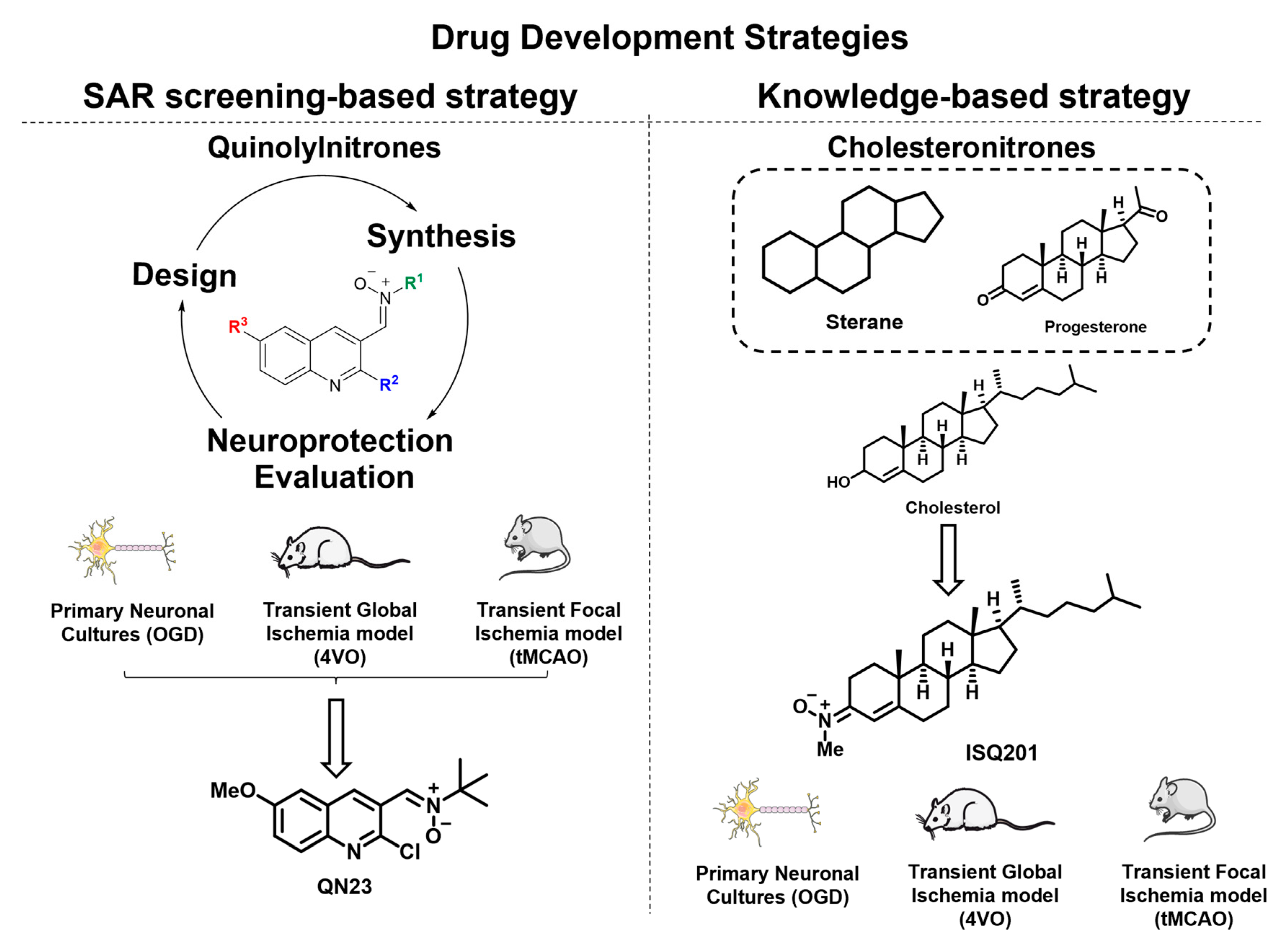 Antioxidants 12 02102 g002 Antioxidants 12 02102 g002