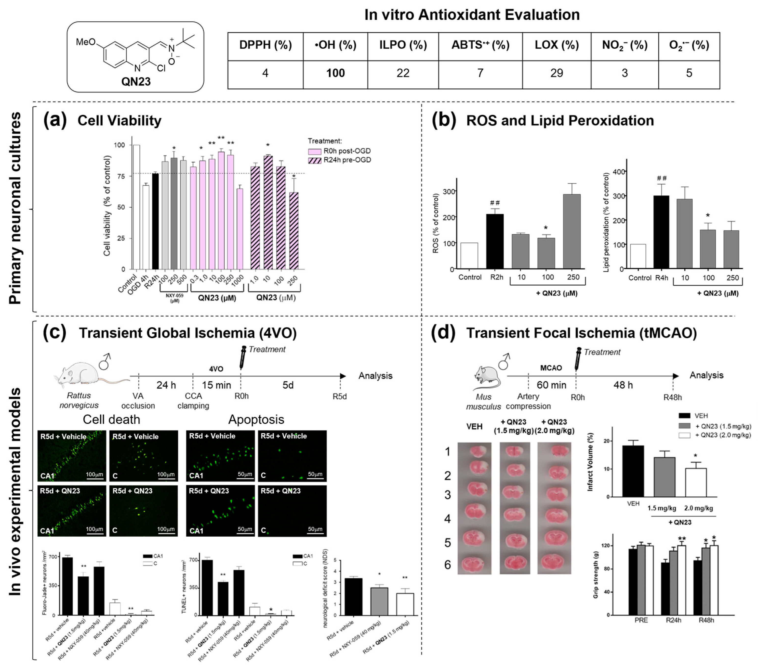 Antioxidants 12 02102 g006 Antioxidants 12 02102 g006