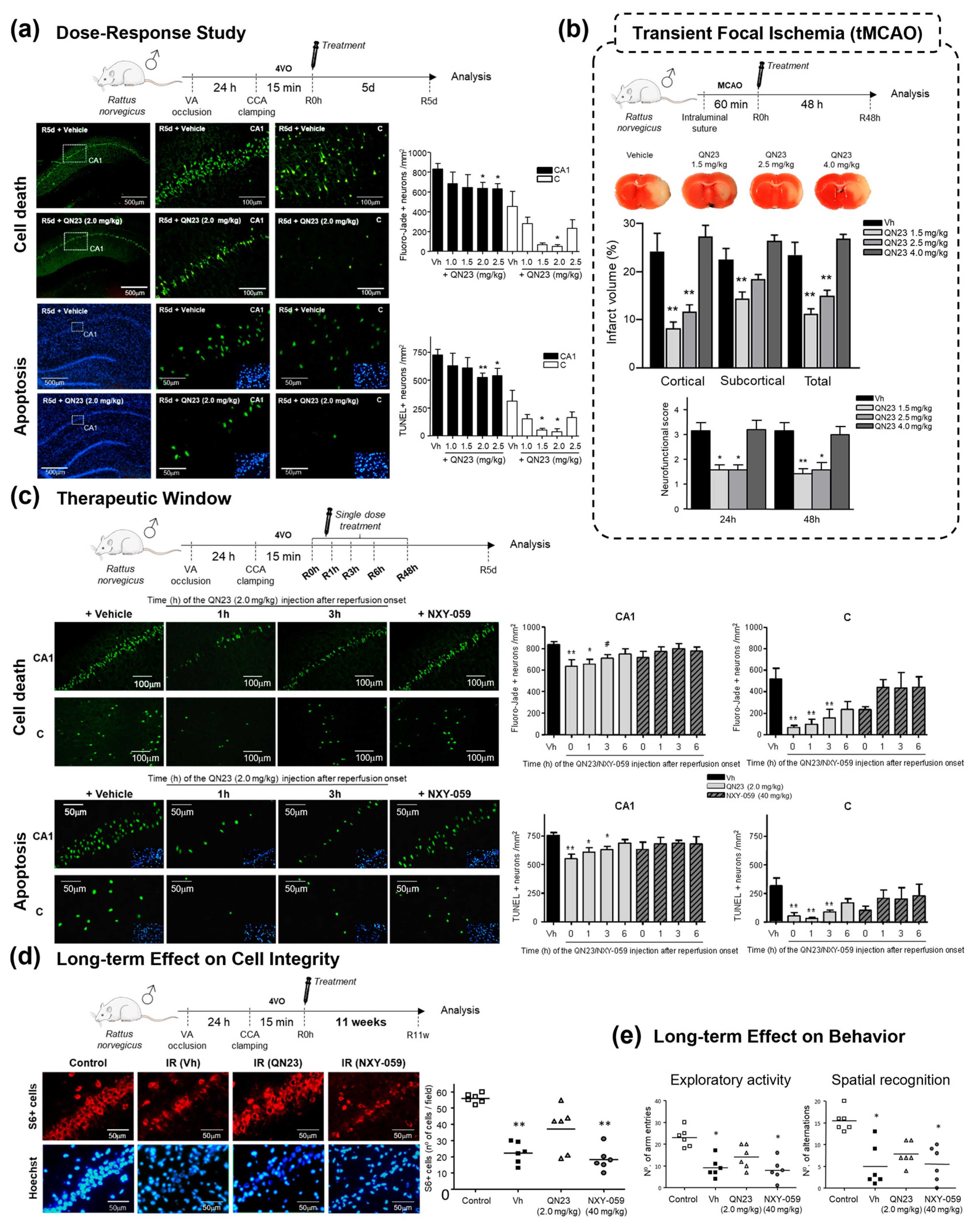 Antioxidants 12 02102 g007 Antioxidants 12 02102 g007