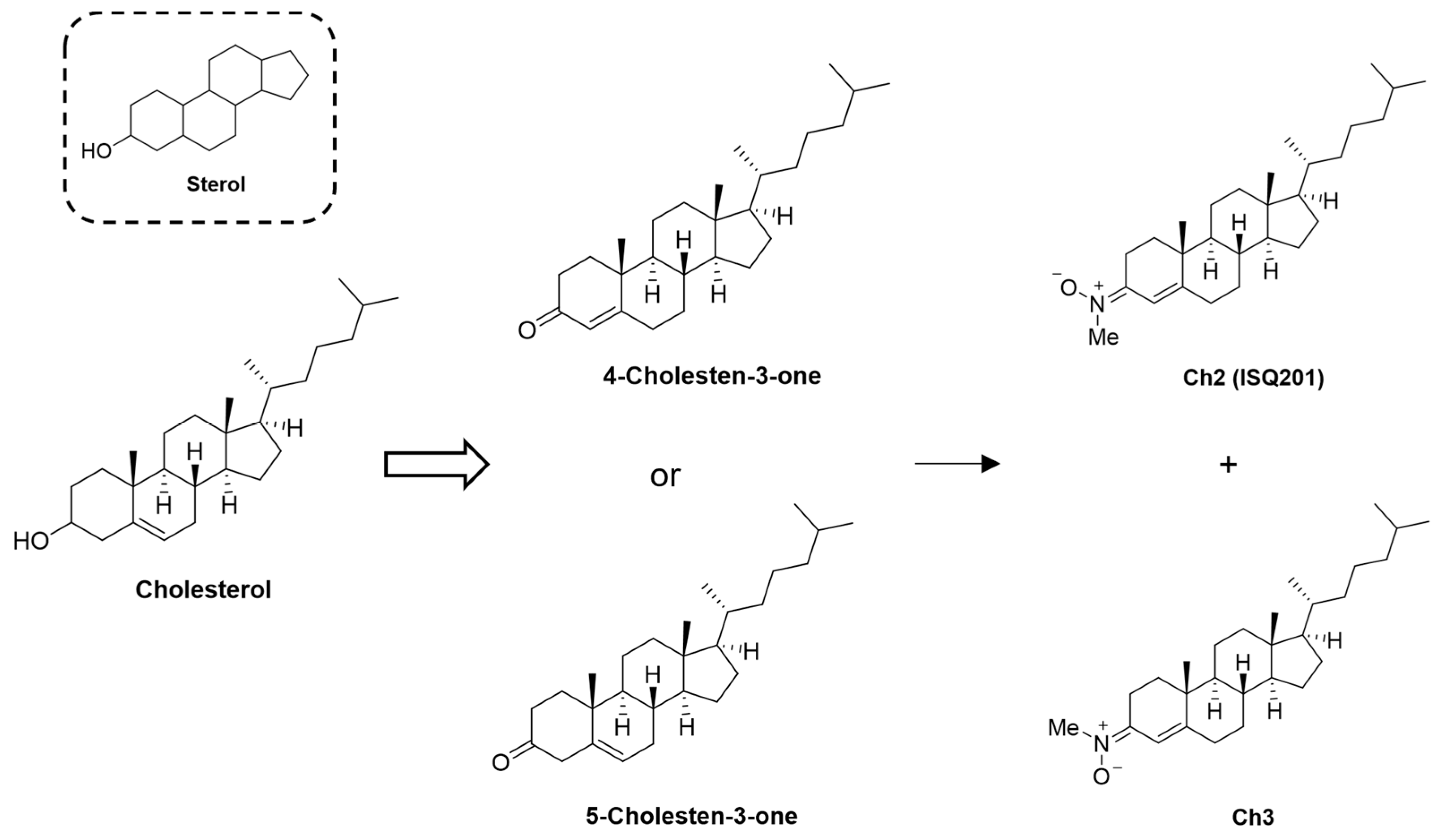 Antioxidants 12 02102 g010 Antioxidants 12 02102 g010