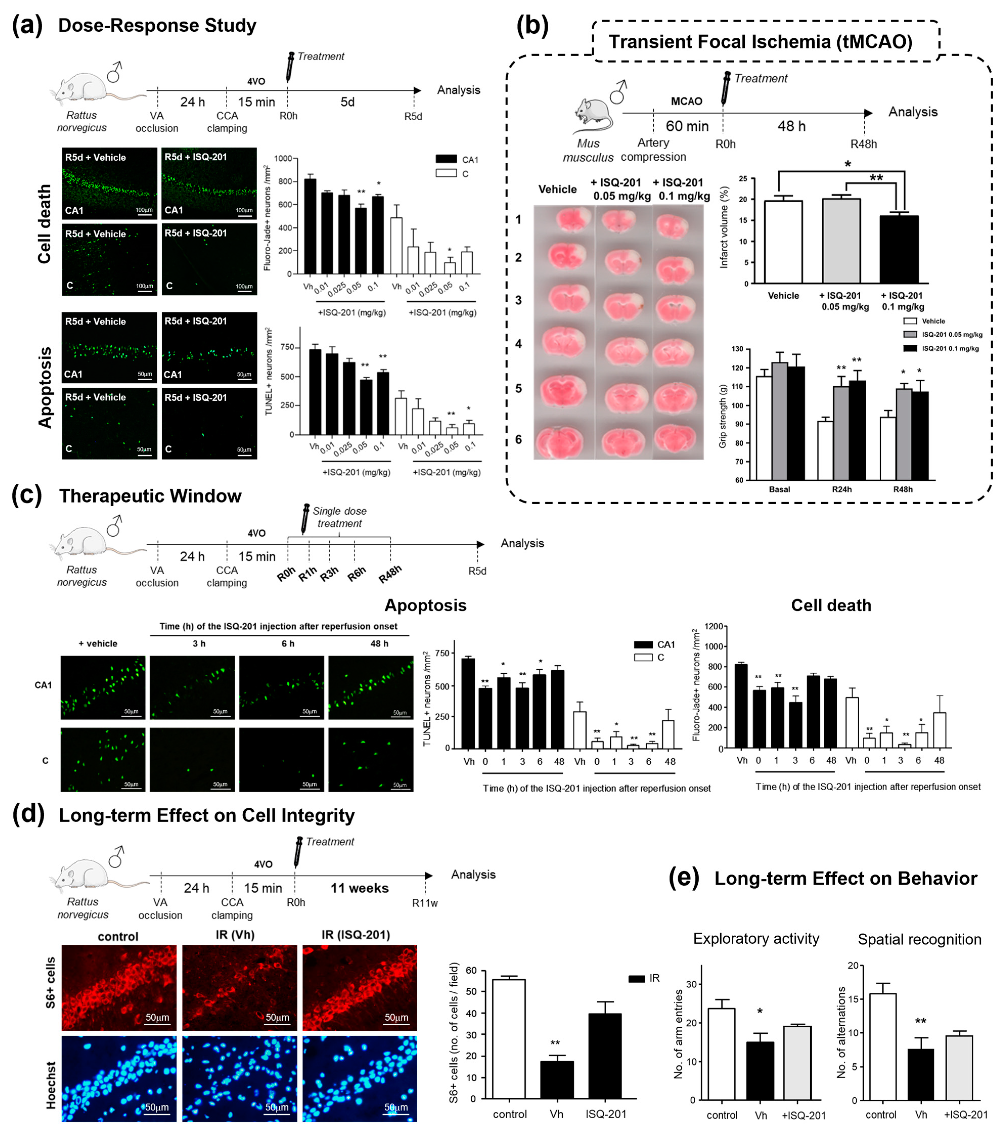 Antioxidants 12 02102 g012 Antioxidants 12 02102 g012