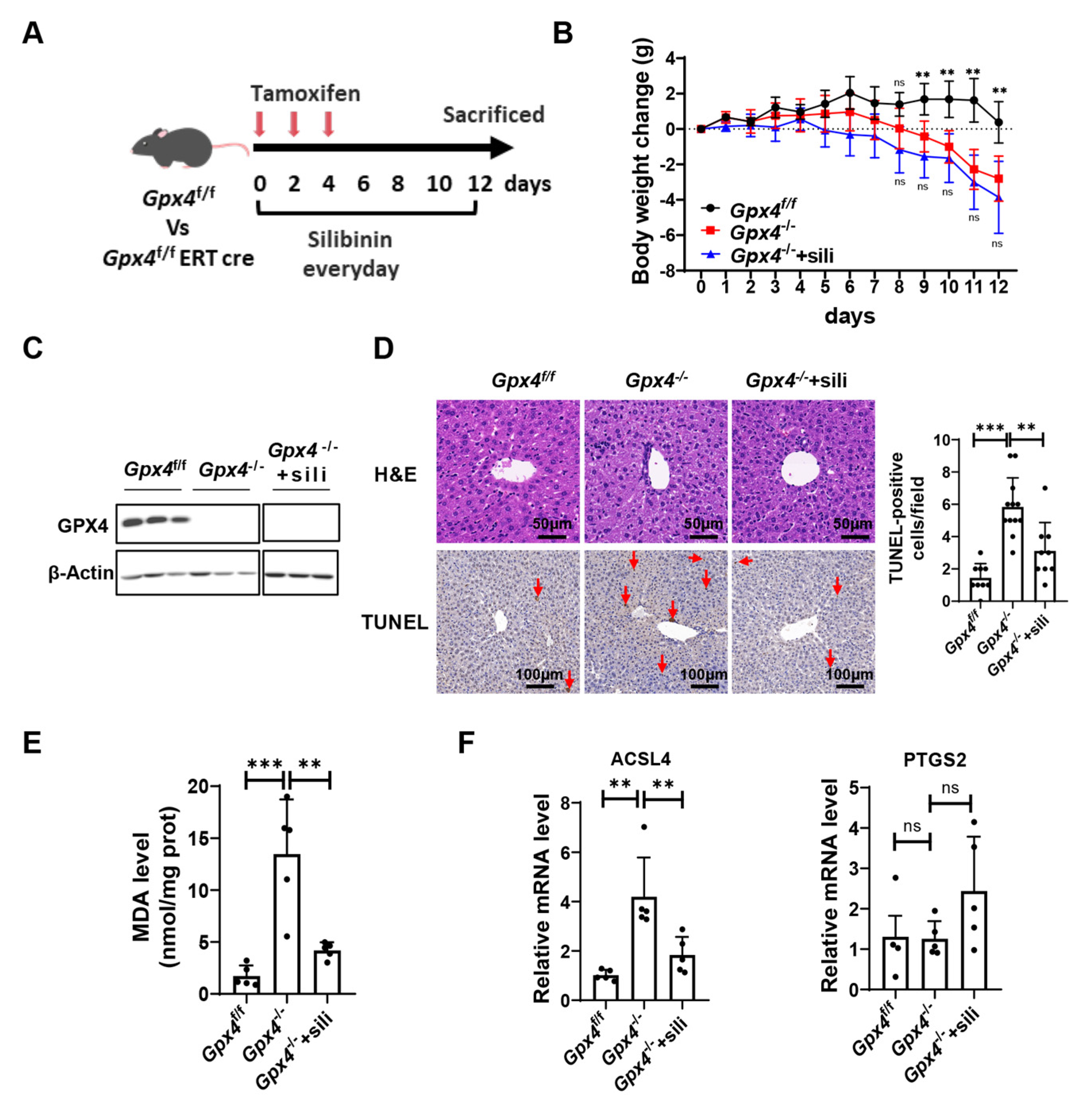 Antioxidants 12 02119 g003