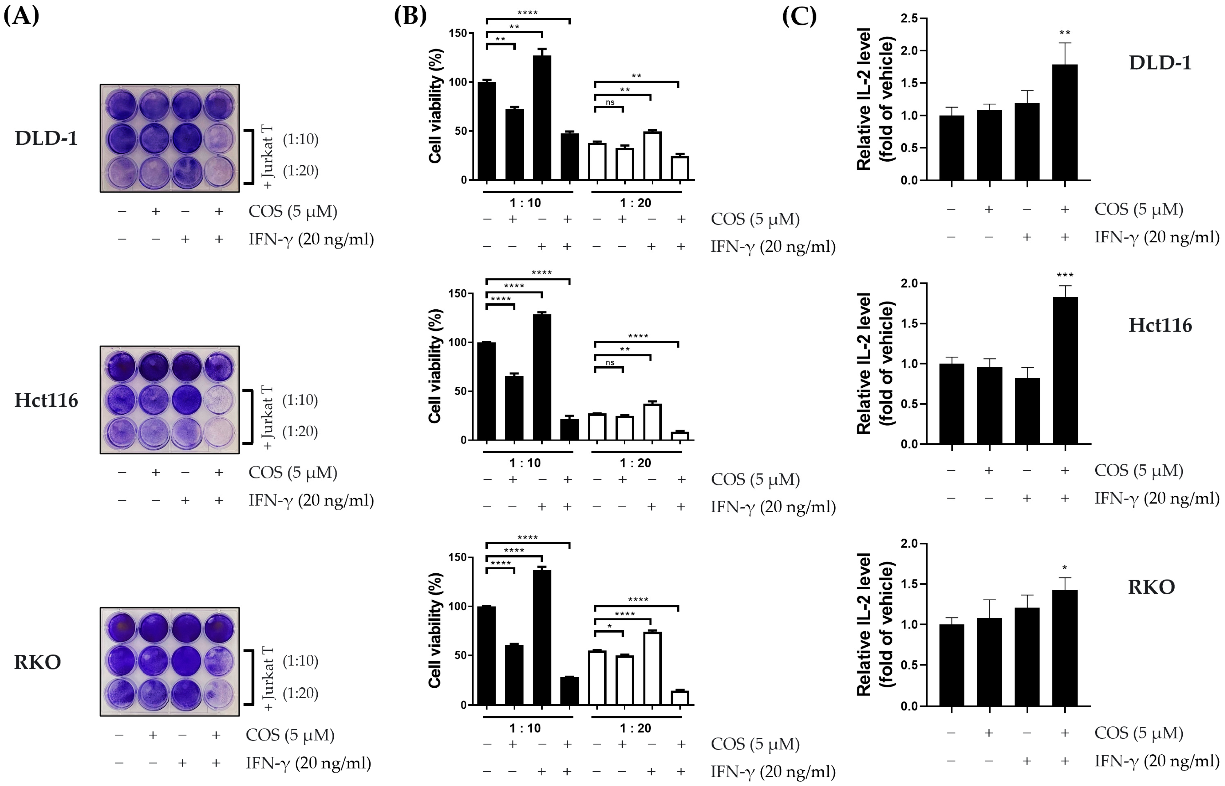 Antioxidants 12 02131 g003
