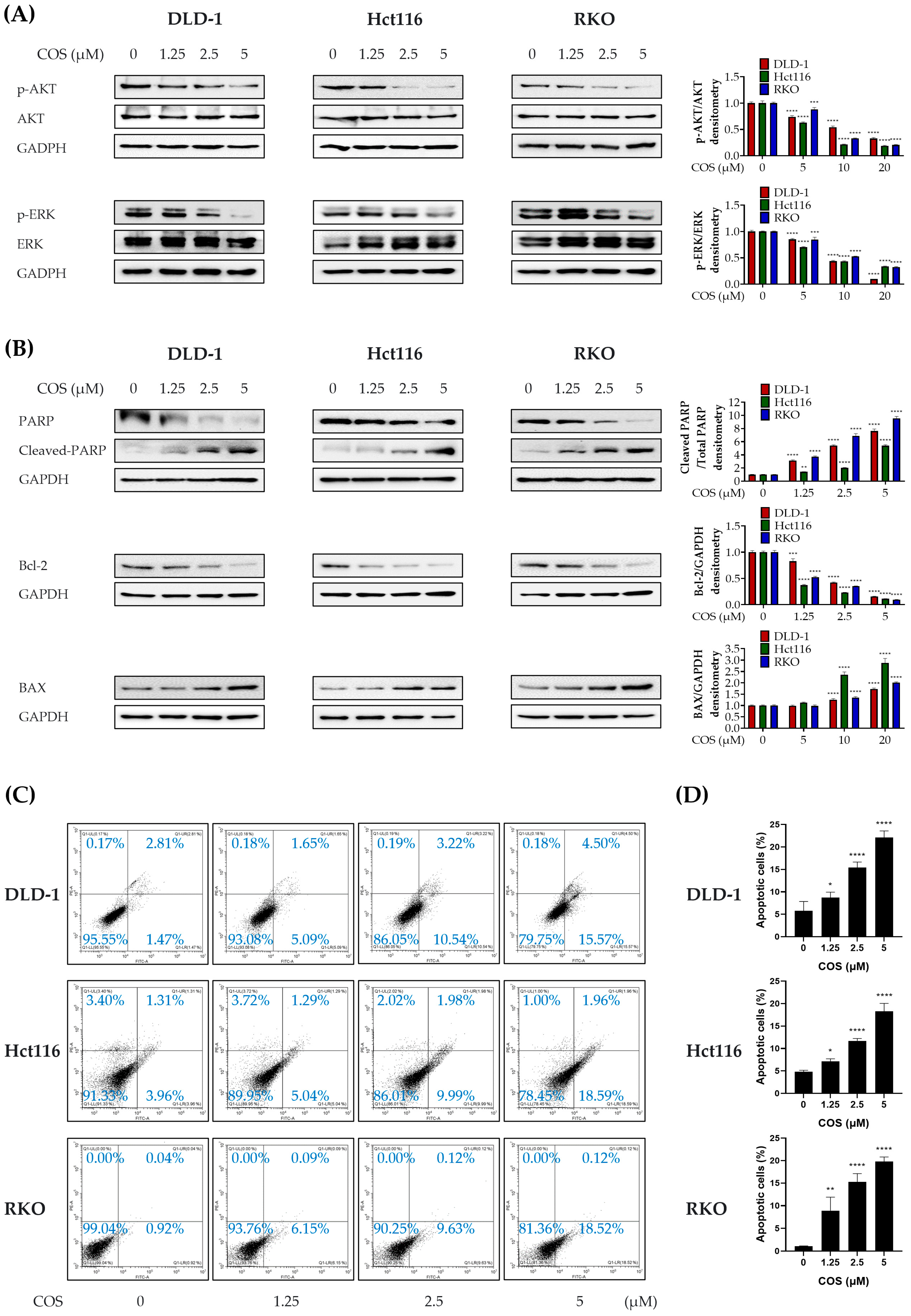 Antioxidants 12 02131 g004