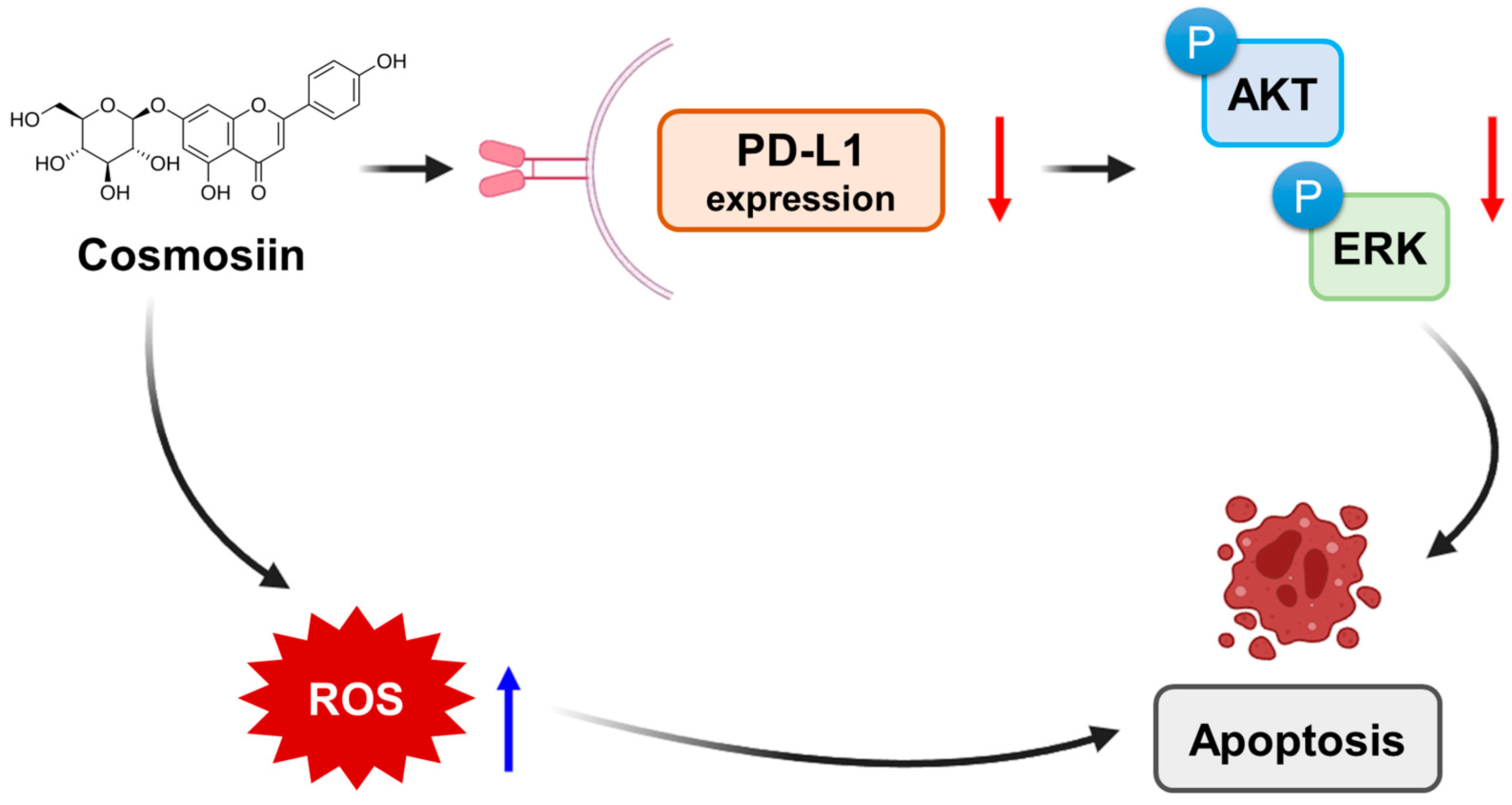 Antioxidants 12 02131 g006