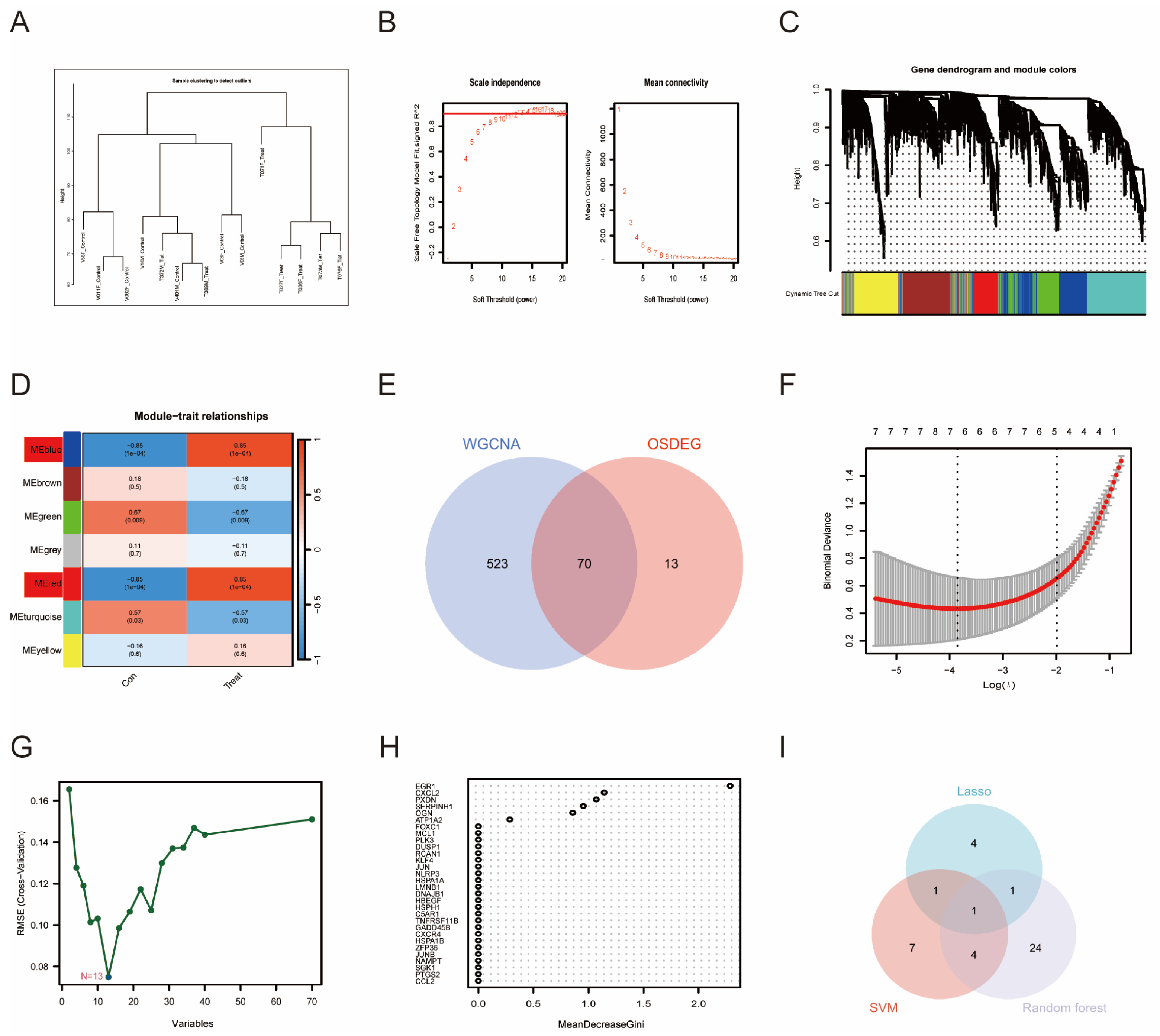 Antioxidants 13 00005 g003