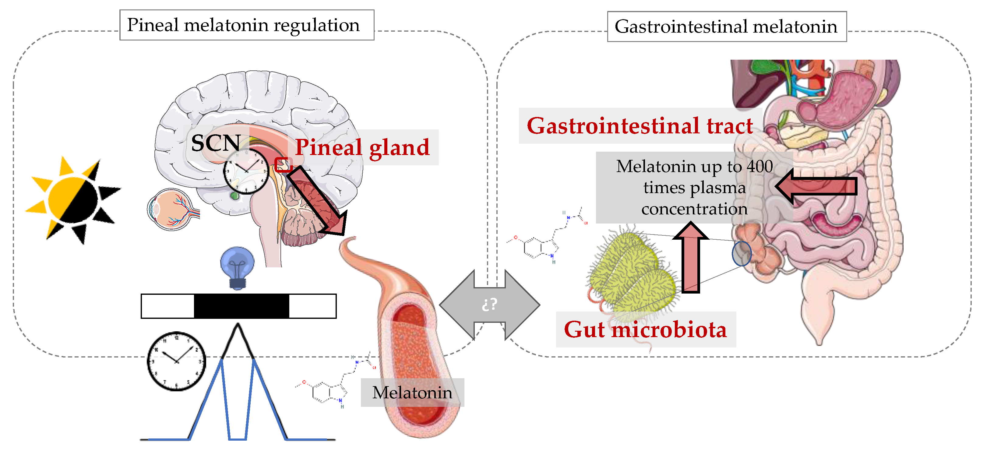 Antioxidants 13 00034 g001