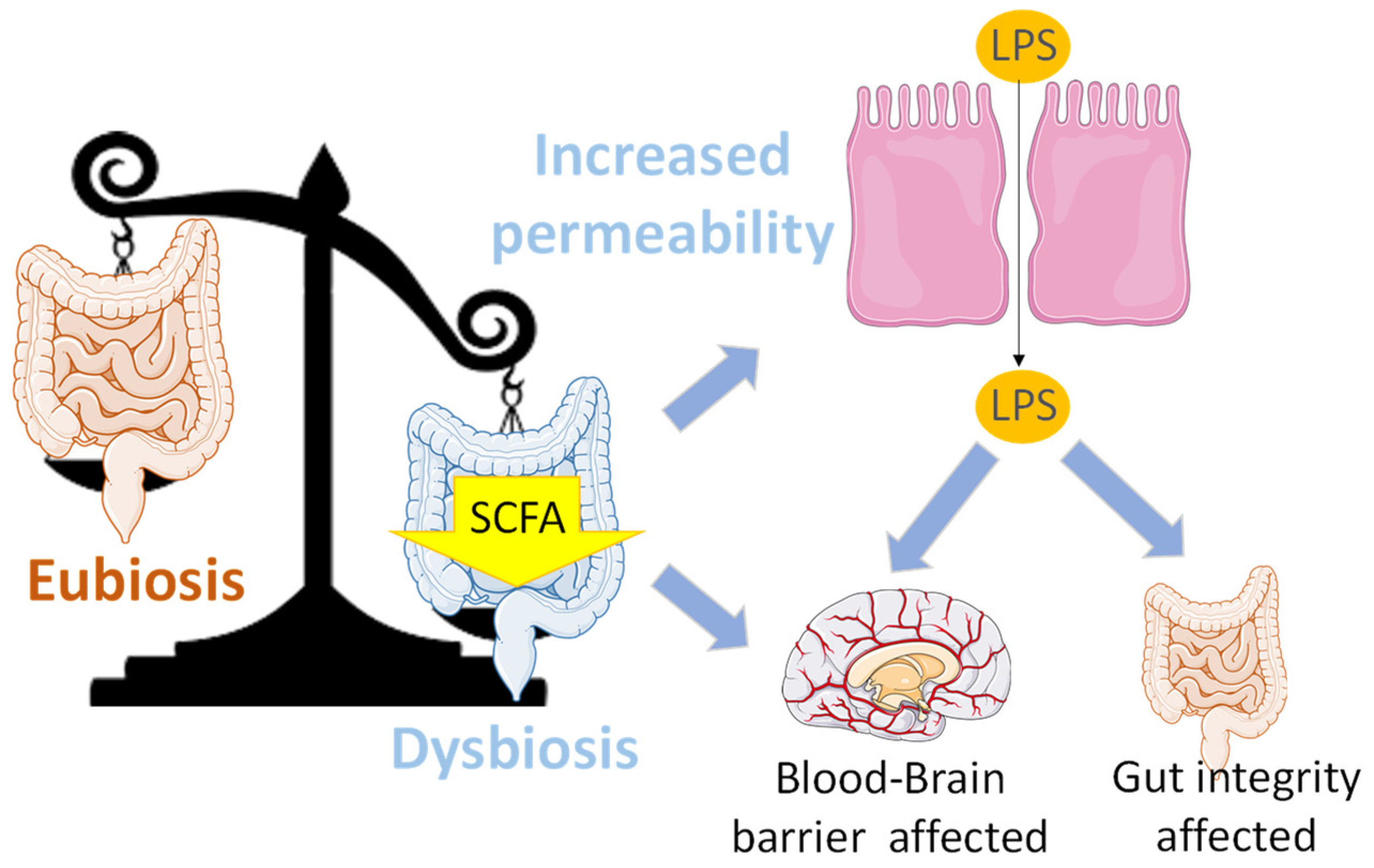 Antioxidants 13 00034 g004