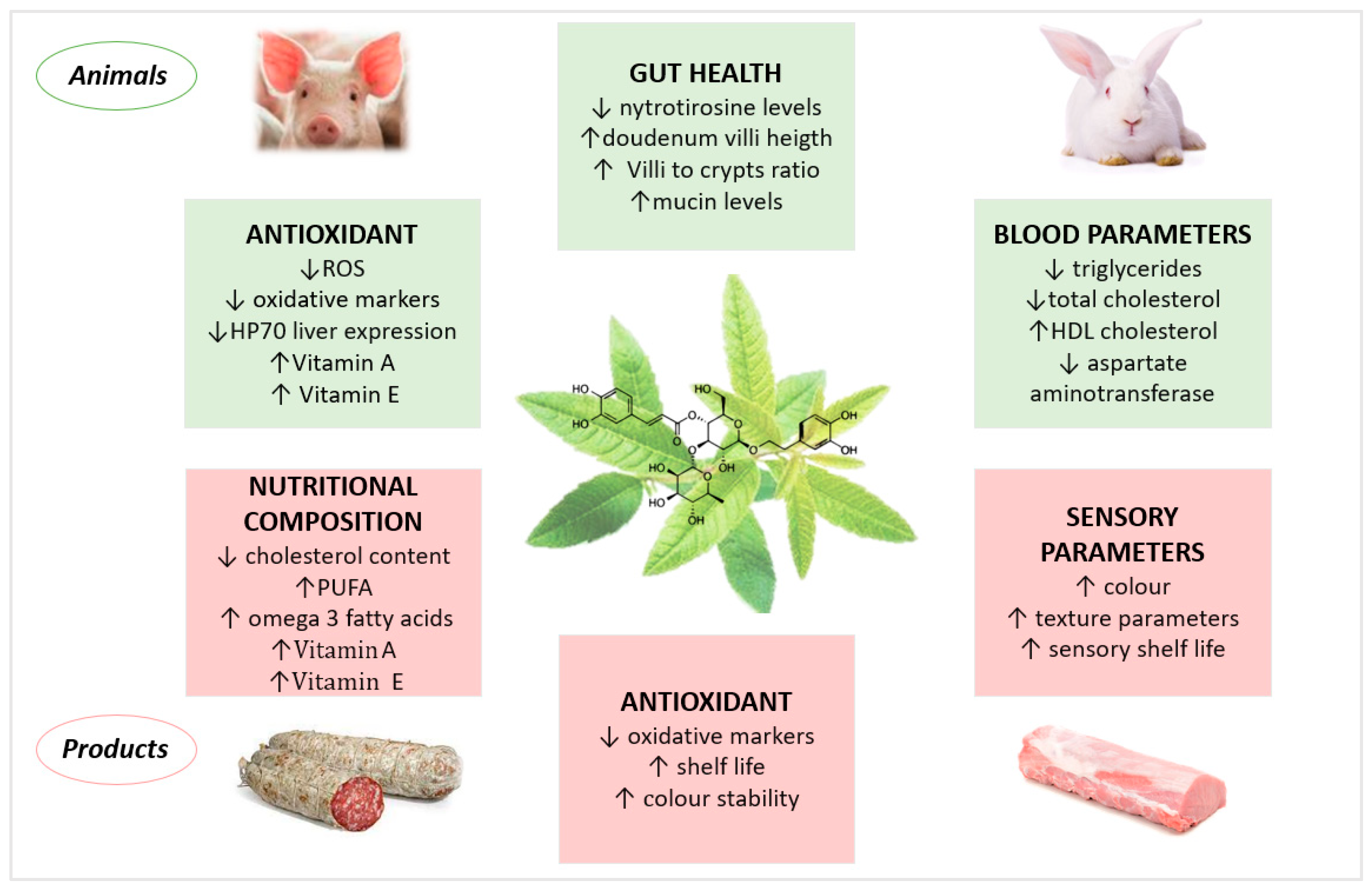 Antioxidants 13 00039 g002
