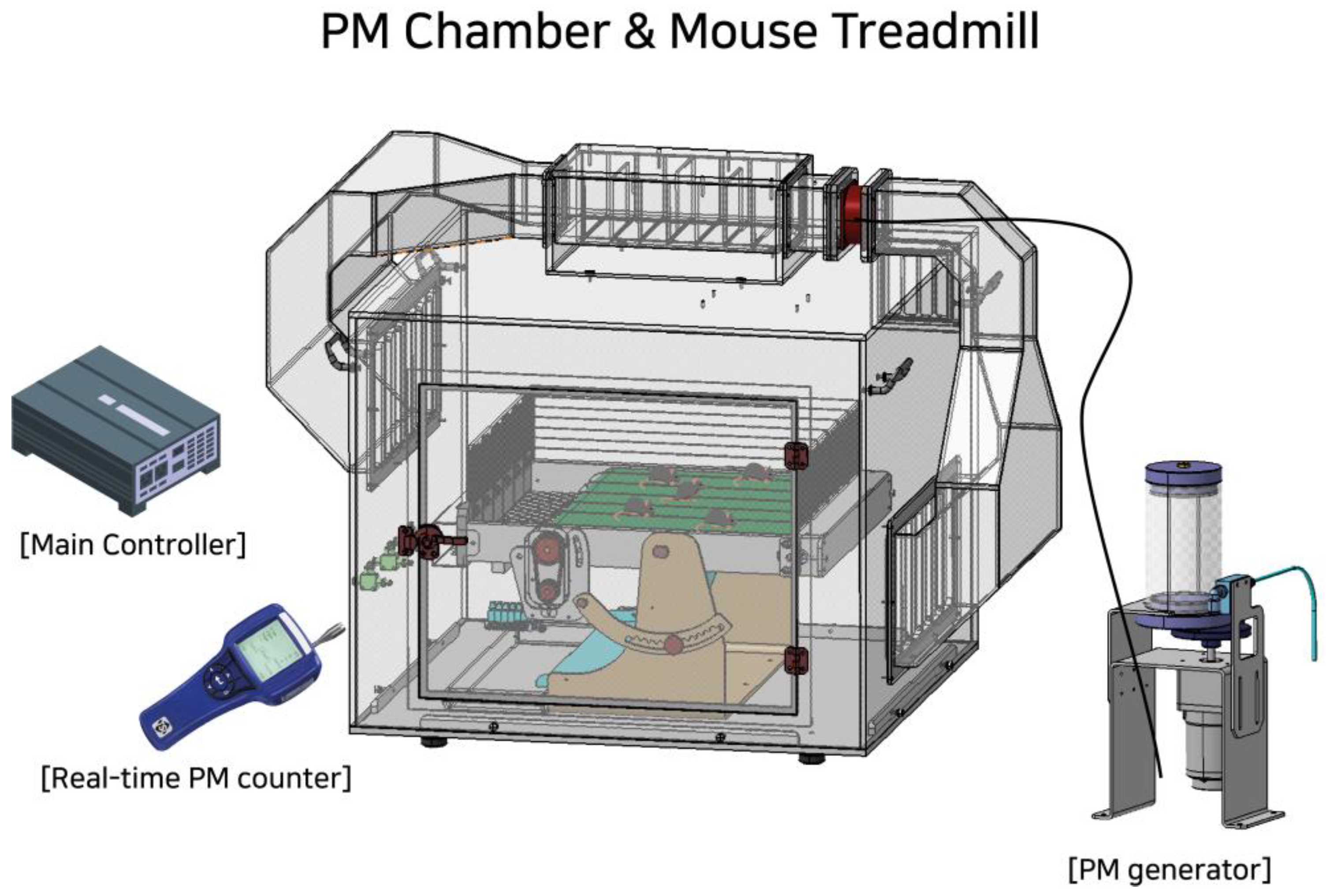 Antioxidants 13 00113 g001