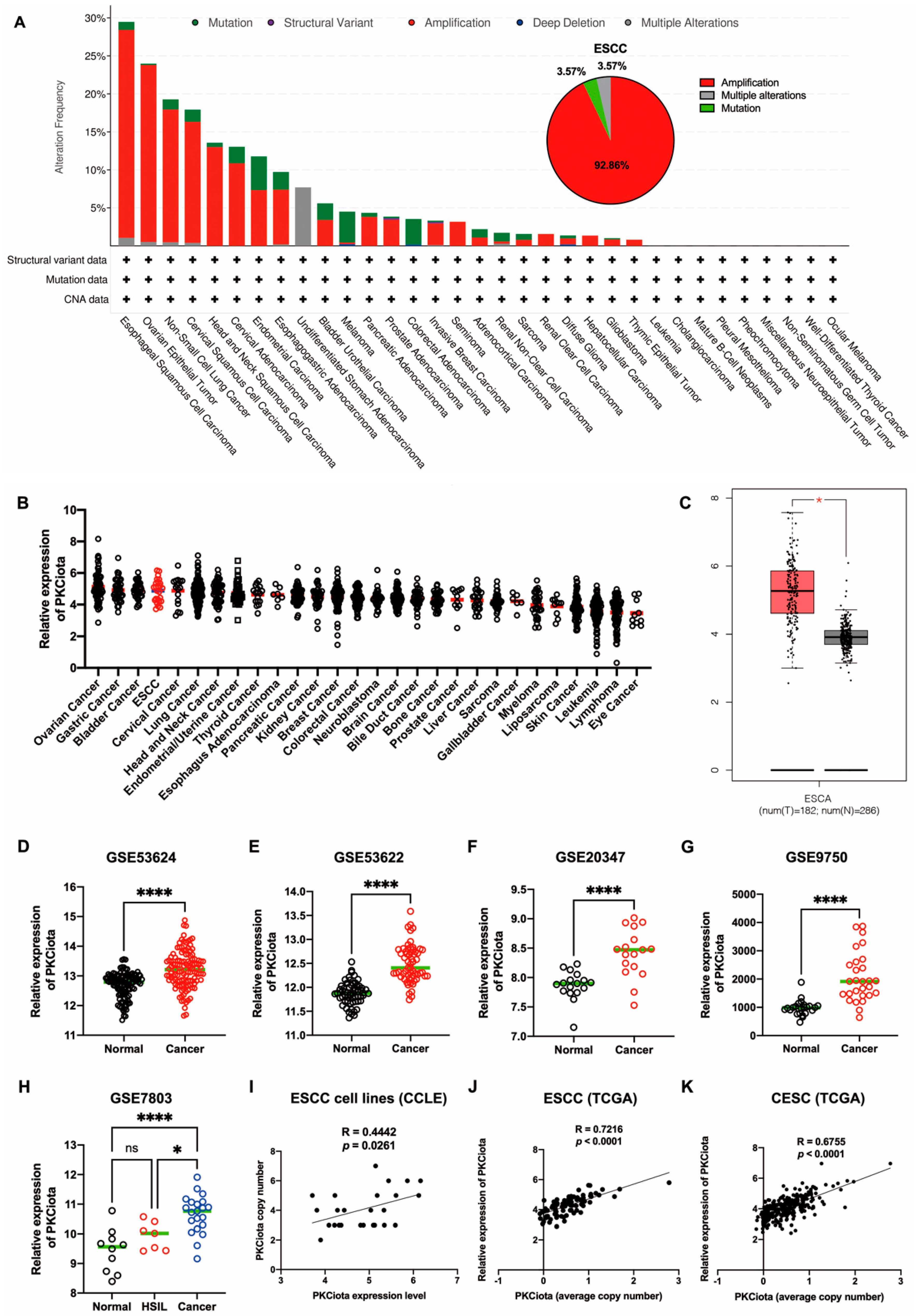 Antioxidants 13 00114 g001