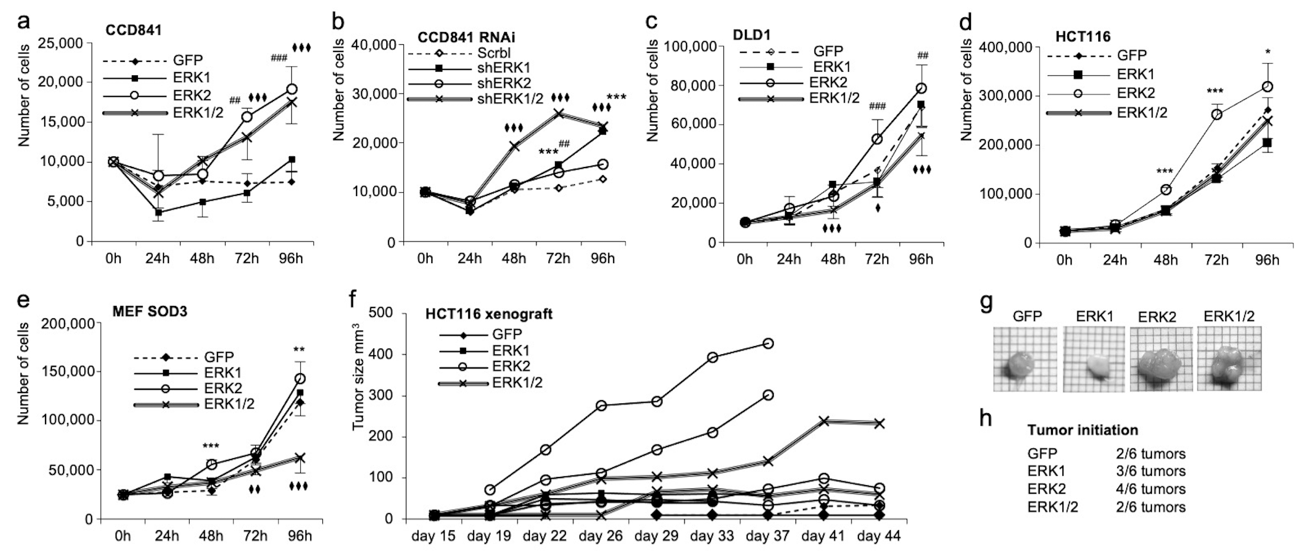 Antioxidants 13 00119 g005 Antioxidants 13 00119 g005