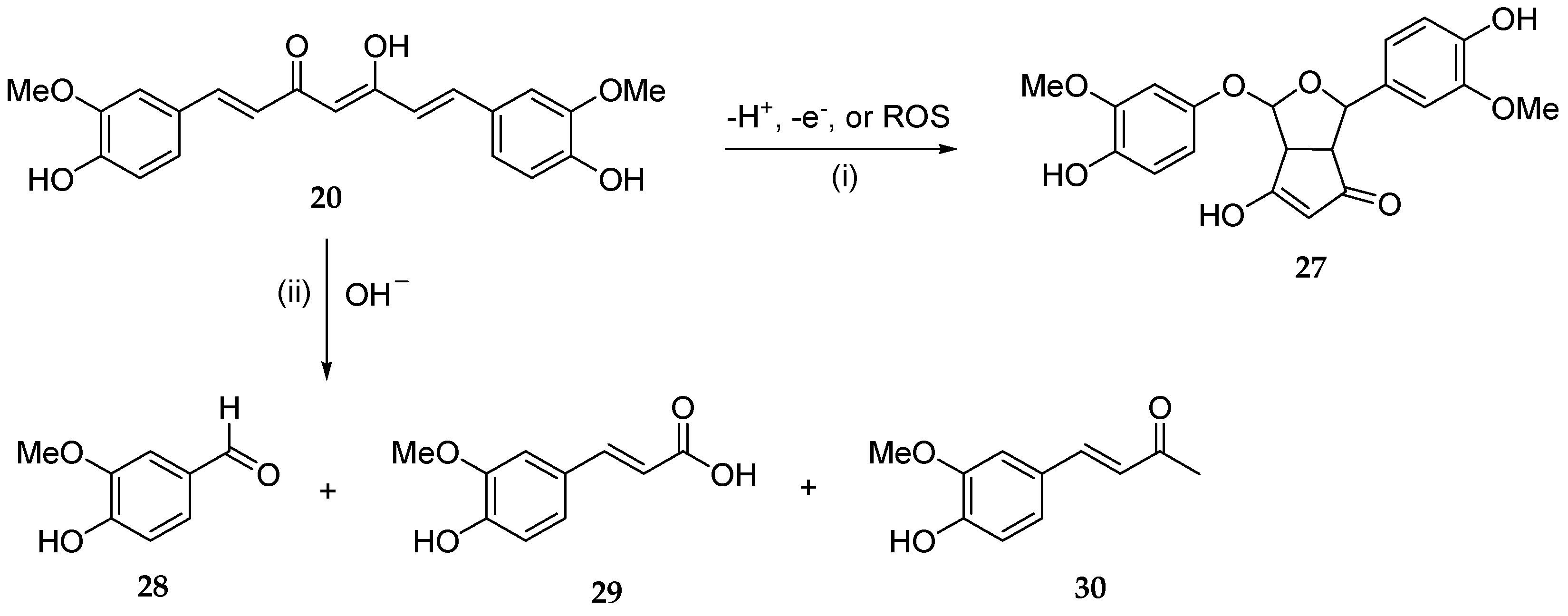 Antioxidants 13 00133 g007