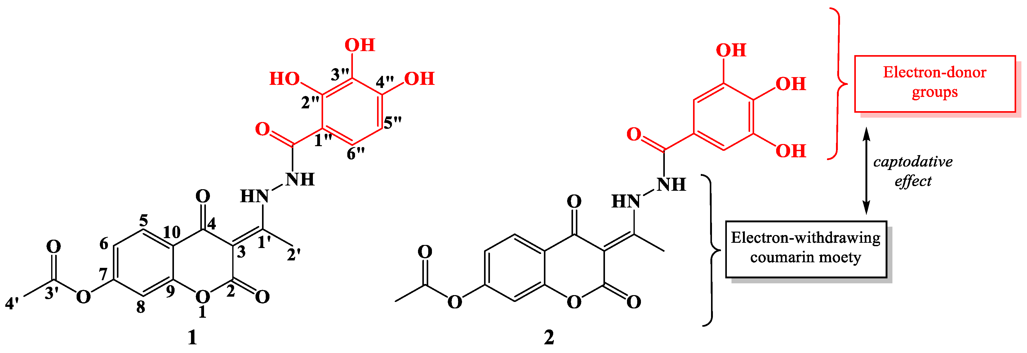 Antioxidants 13 00143 g001