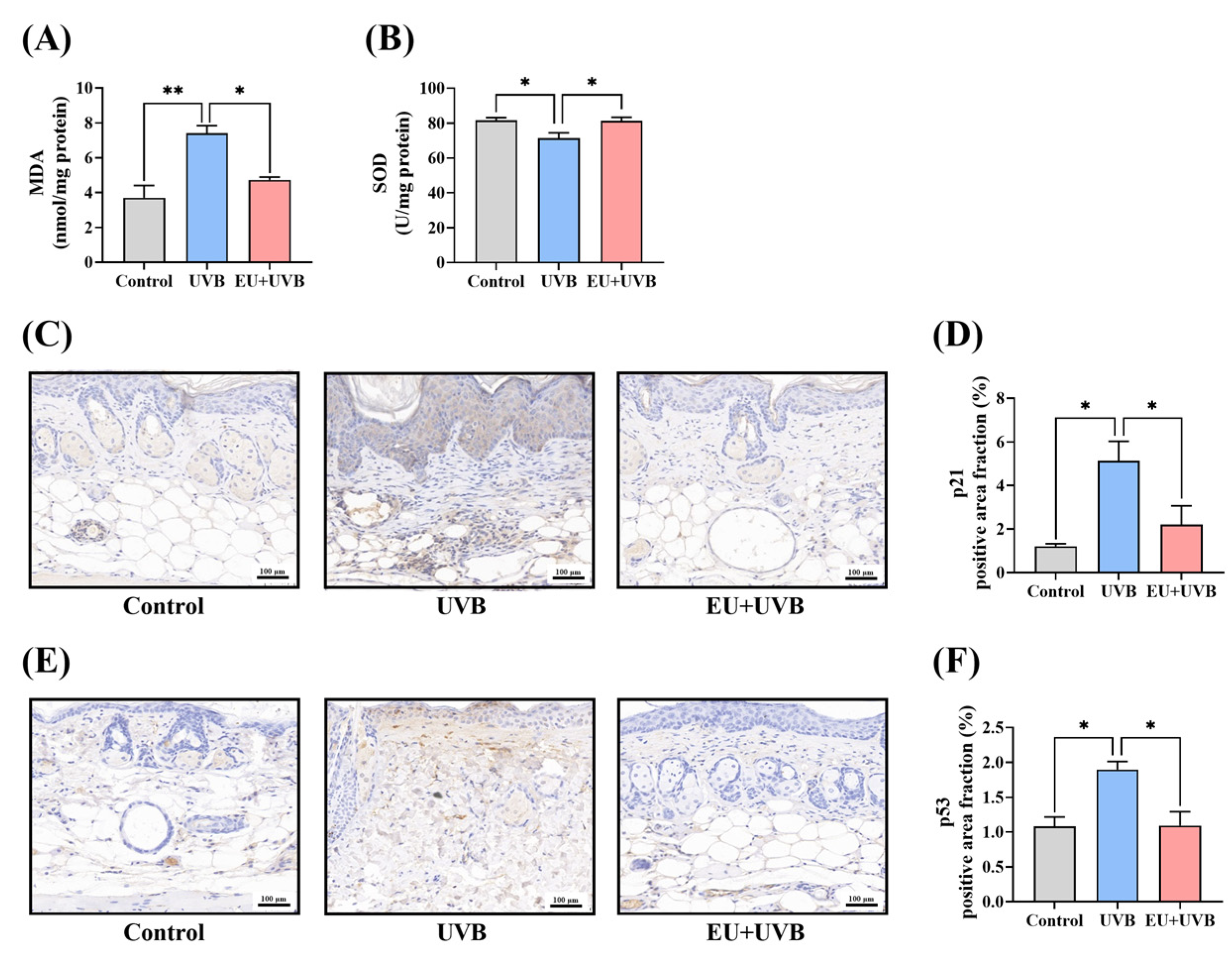 Antioxidants 13 00168 g005