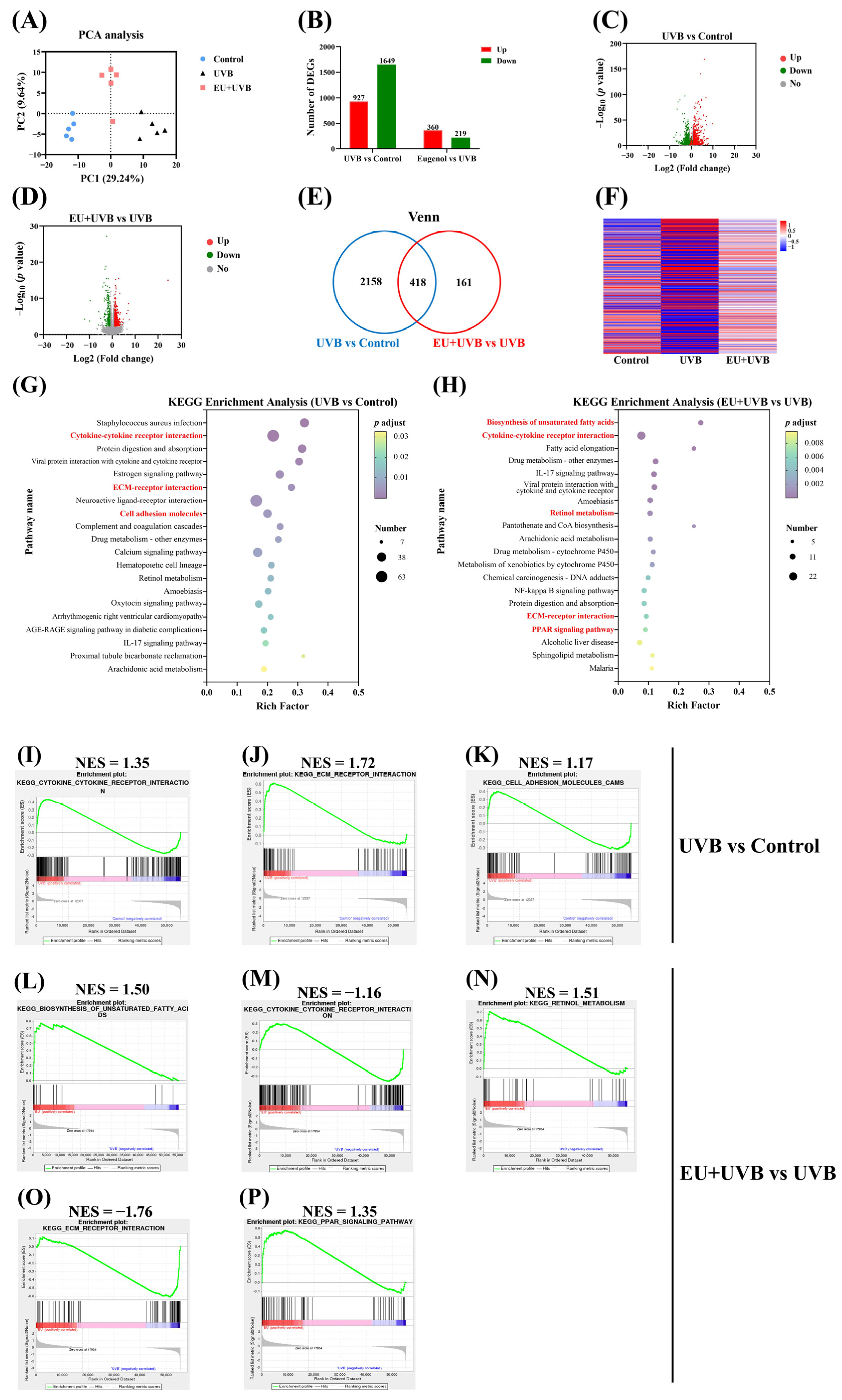 Antioxidants 13 00168 g006