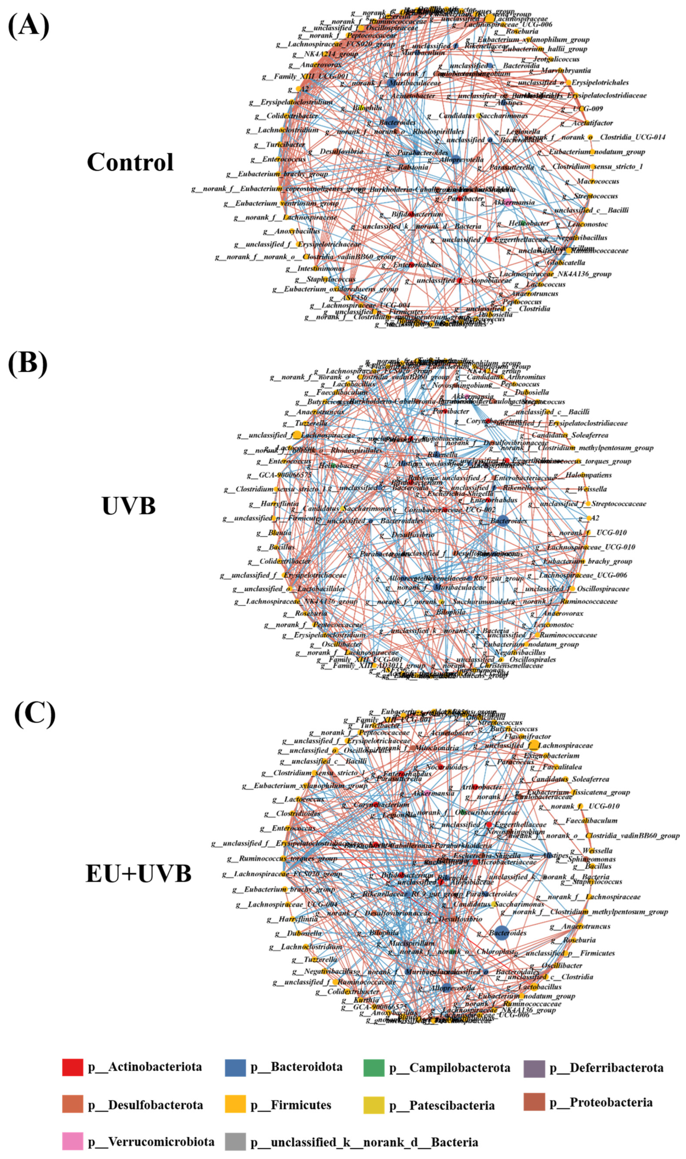 Antioxidants 13 00168 g010