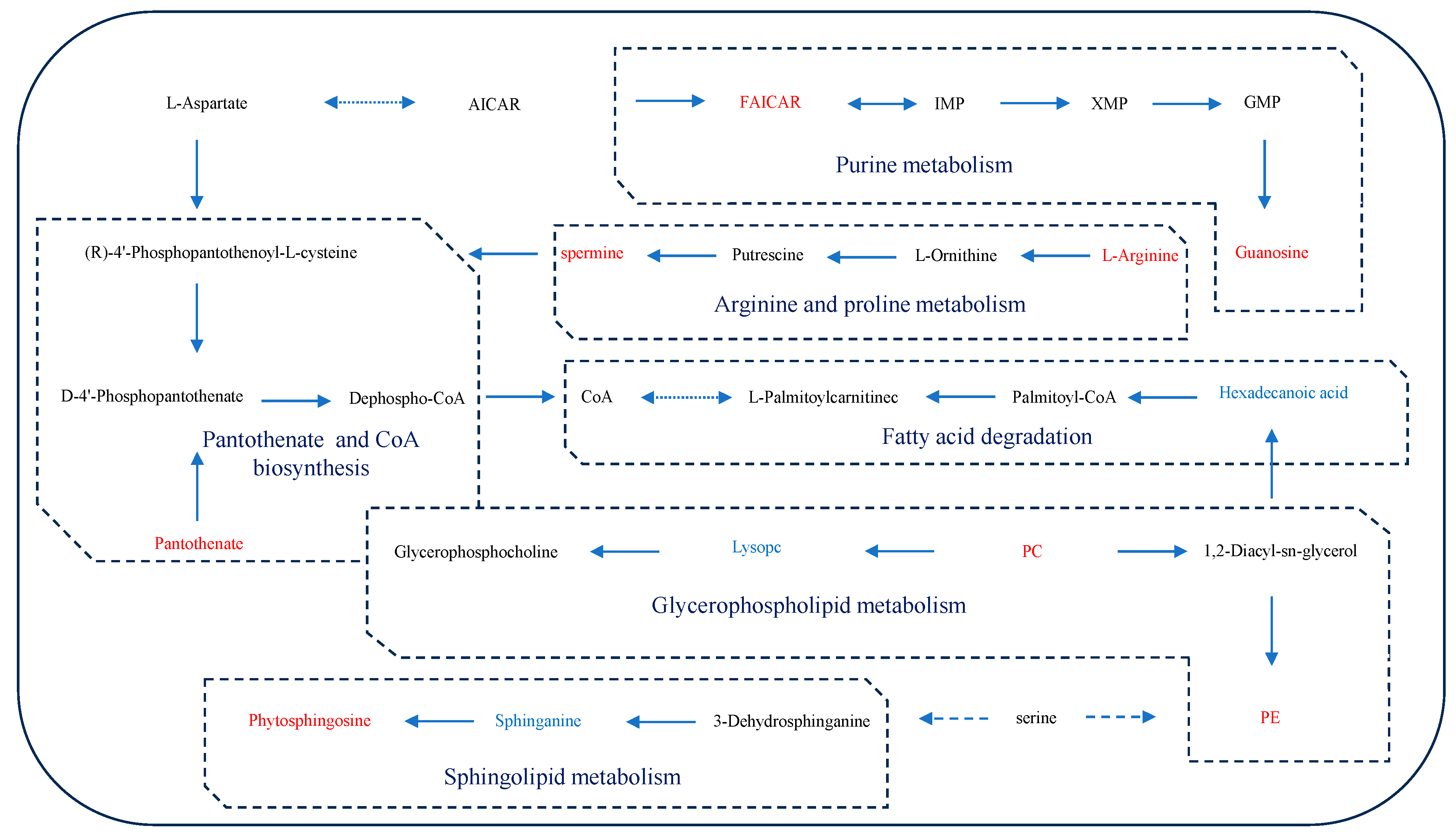 Antioxidants 13 00170 g006