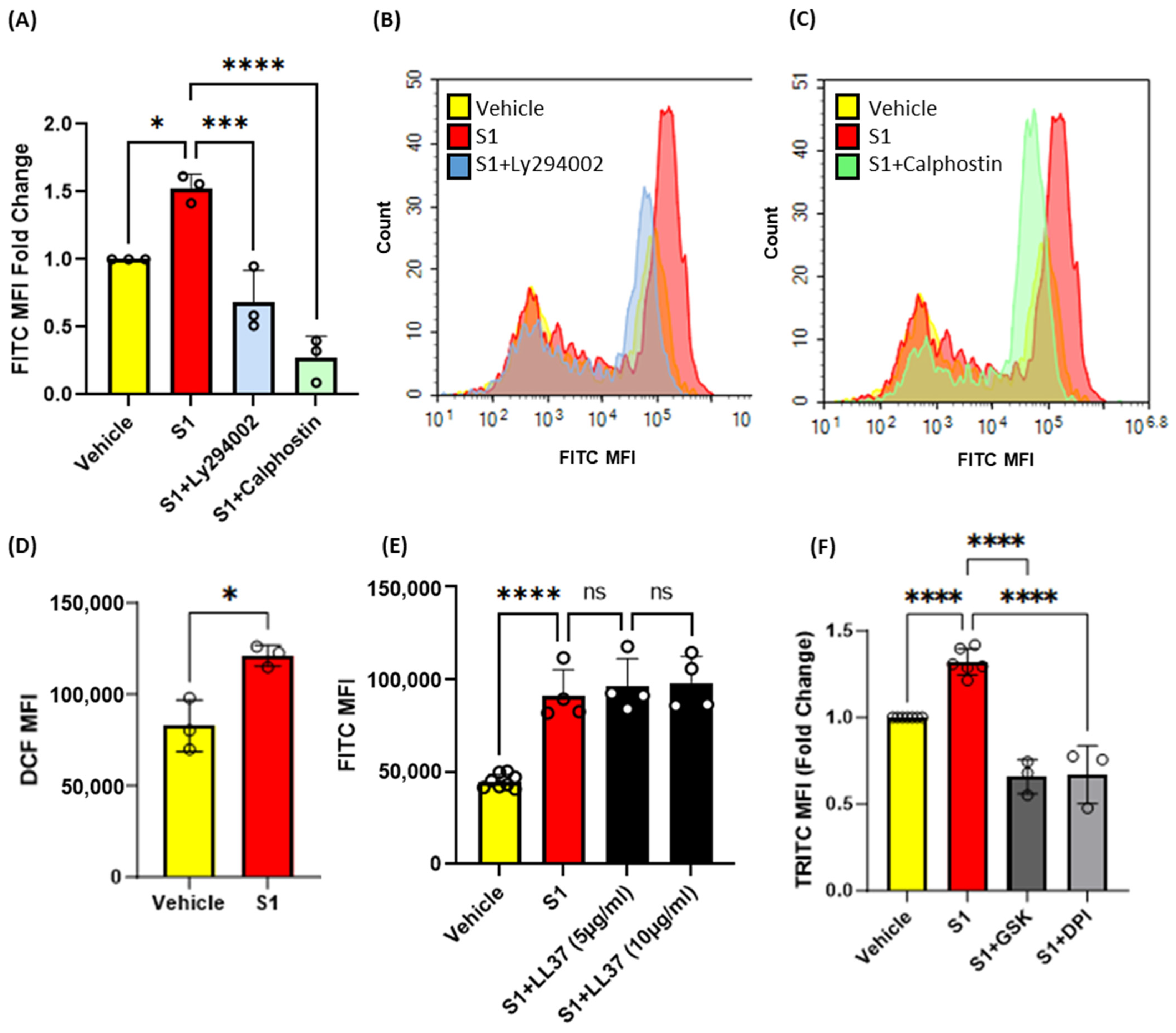 Antioxidants 13 00175 g004