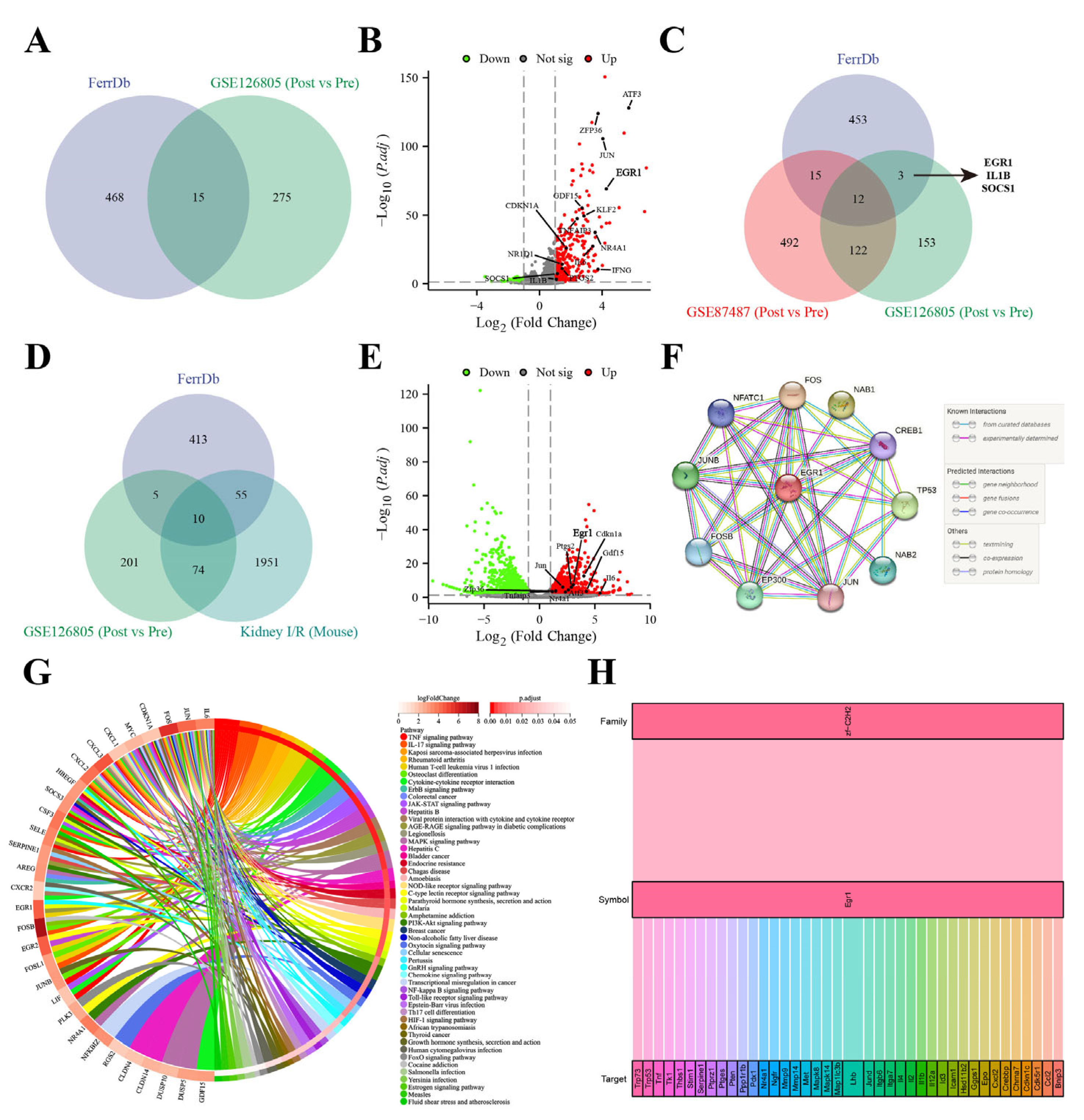Antioxidants 13 00182 g003