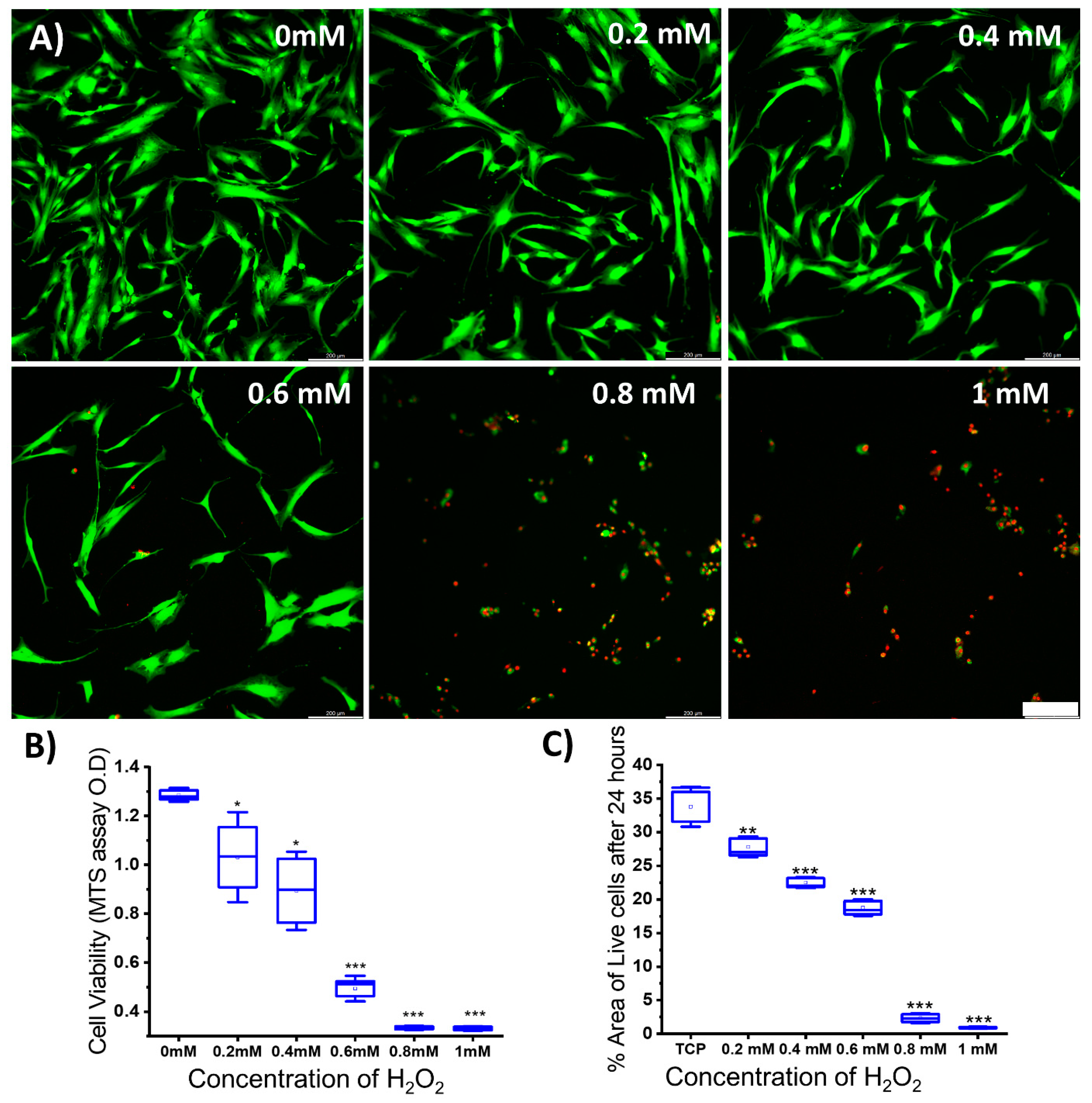 Antioxidants 13 00189 g007