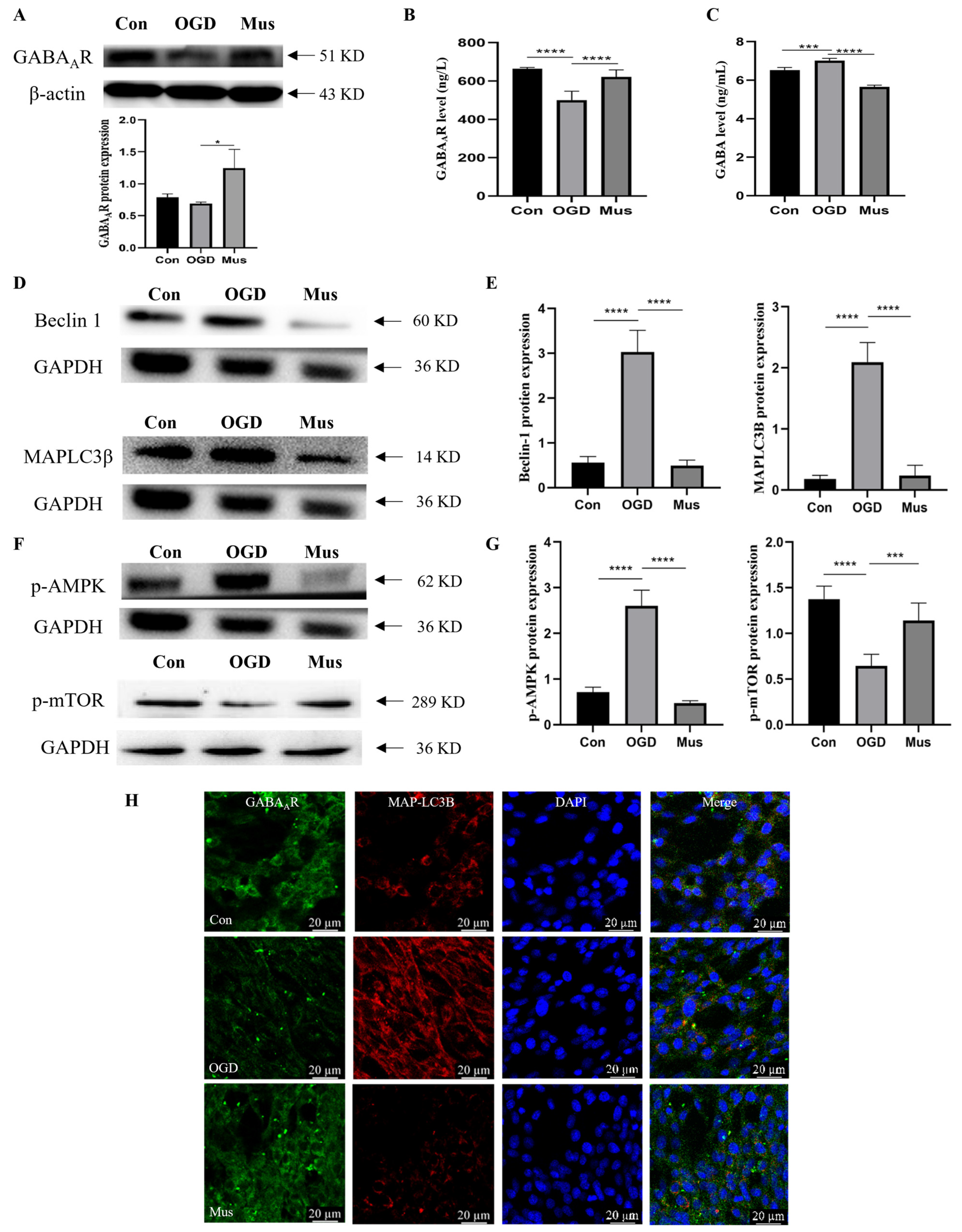 Antioxidants 13 00194 g005