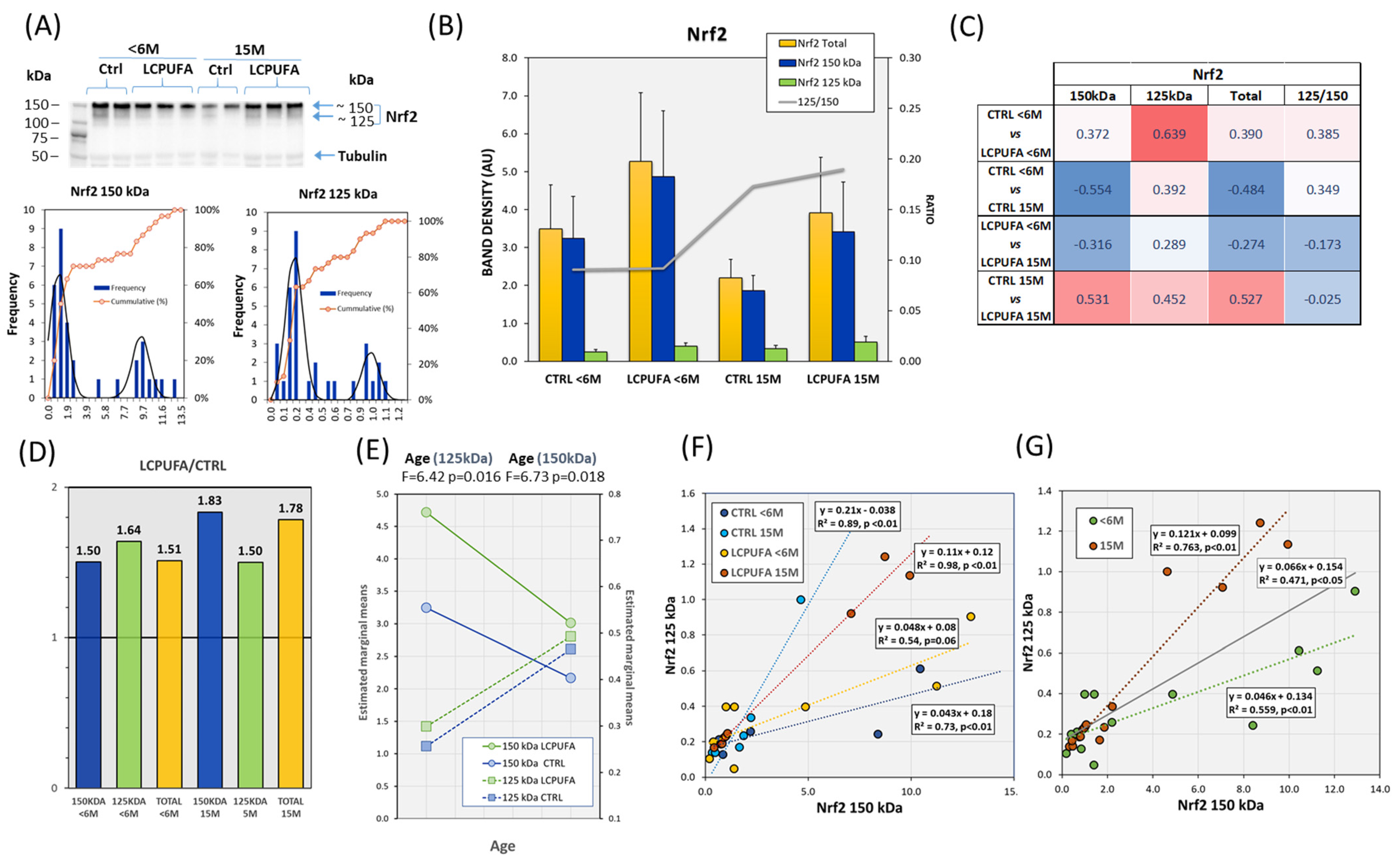 Antioxidants 13 00206 g001