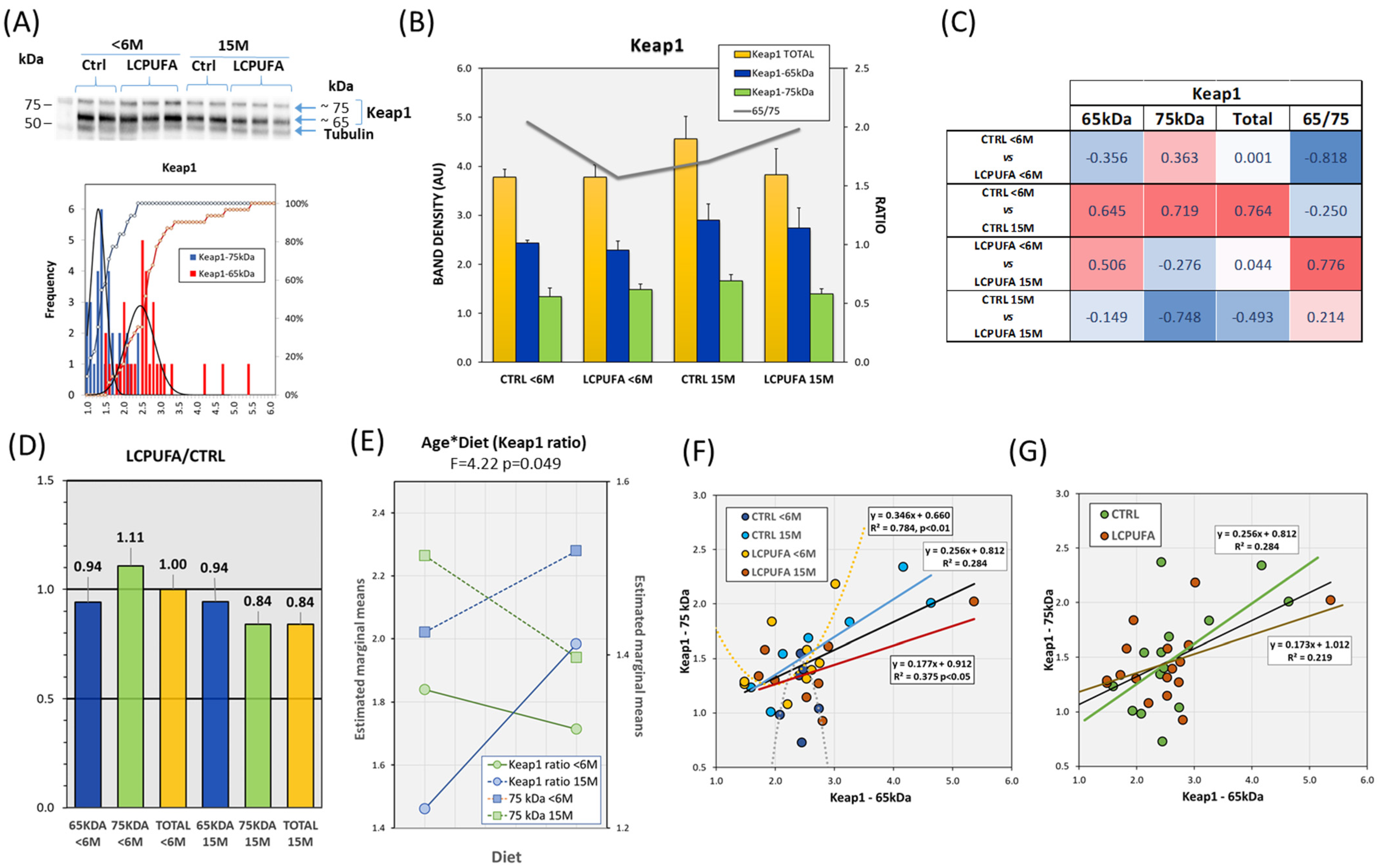 Antioxidants 13 00206 g002