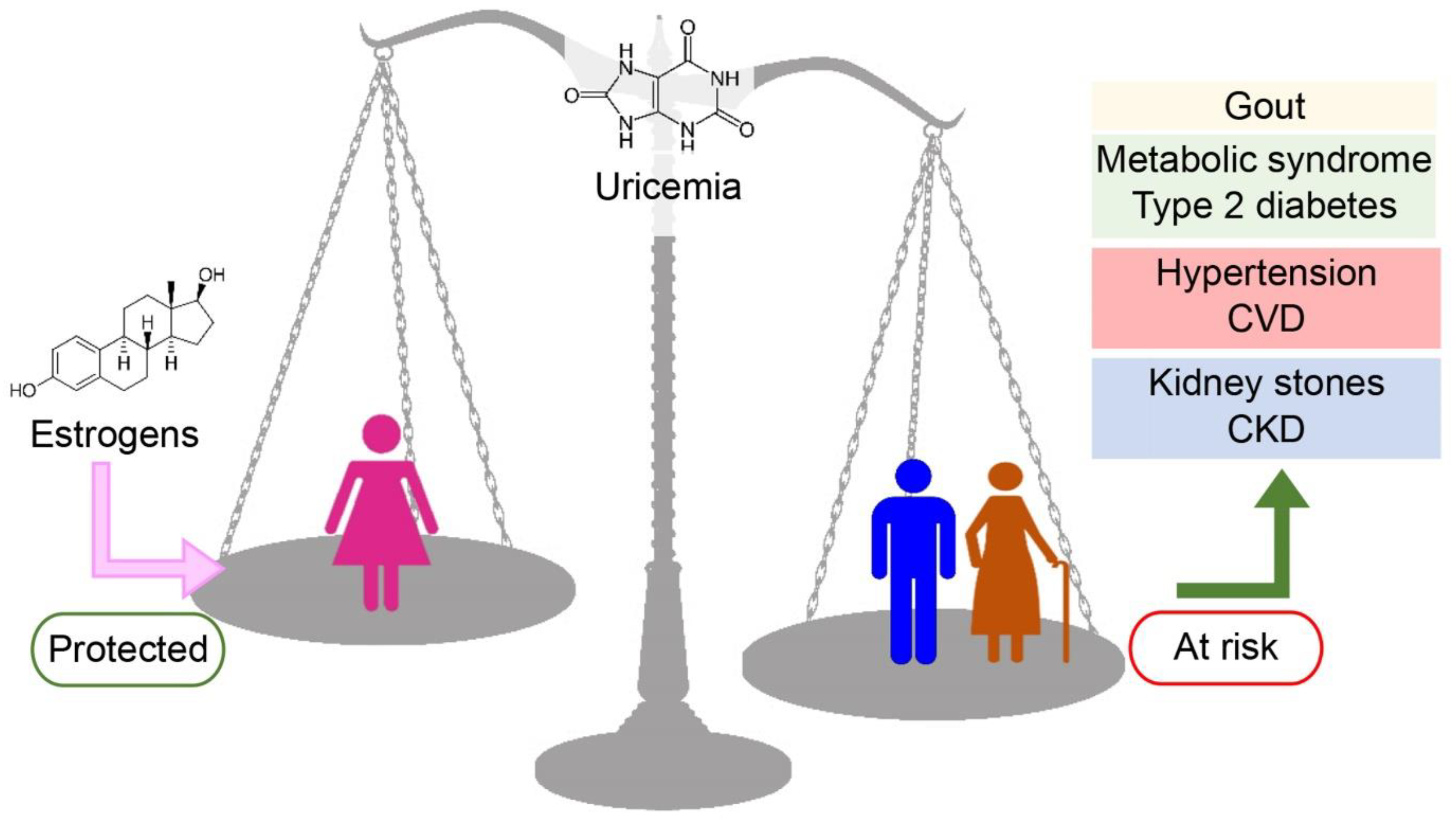 Antioxidants | Free Full-Text | Gender Influence on XOR Activities and ...