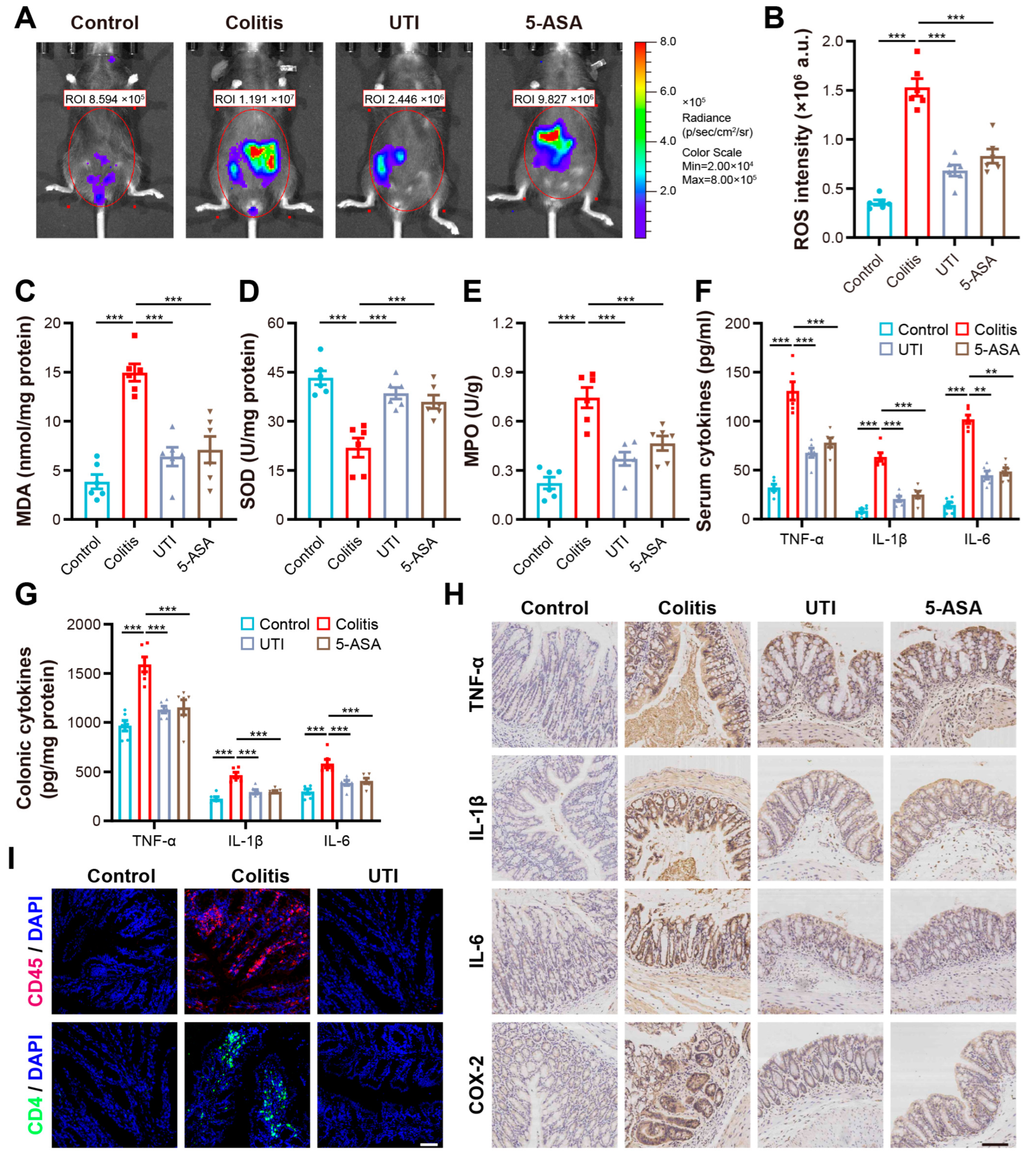 Antioxidants 13 00214 g003