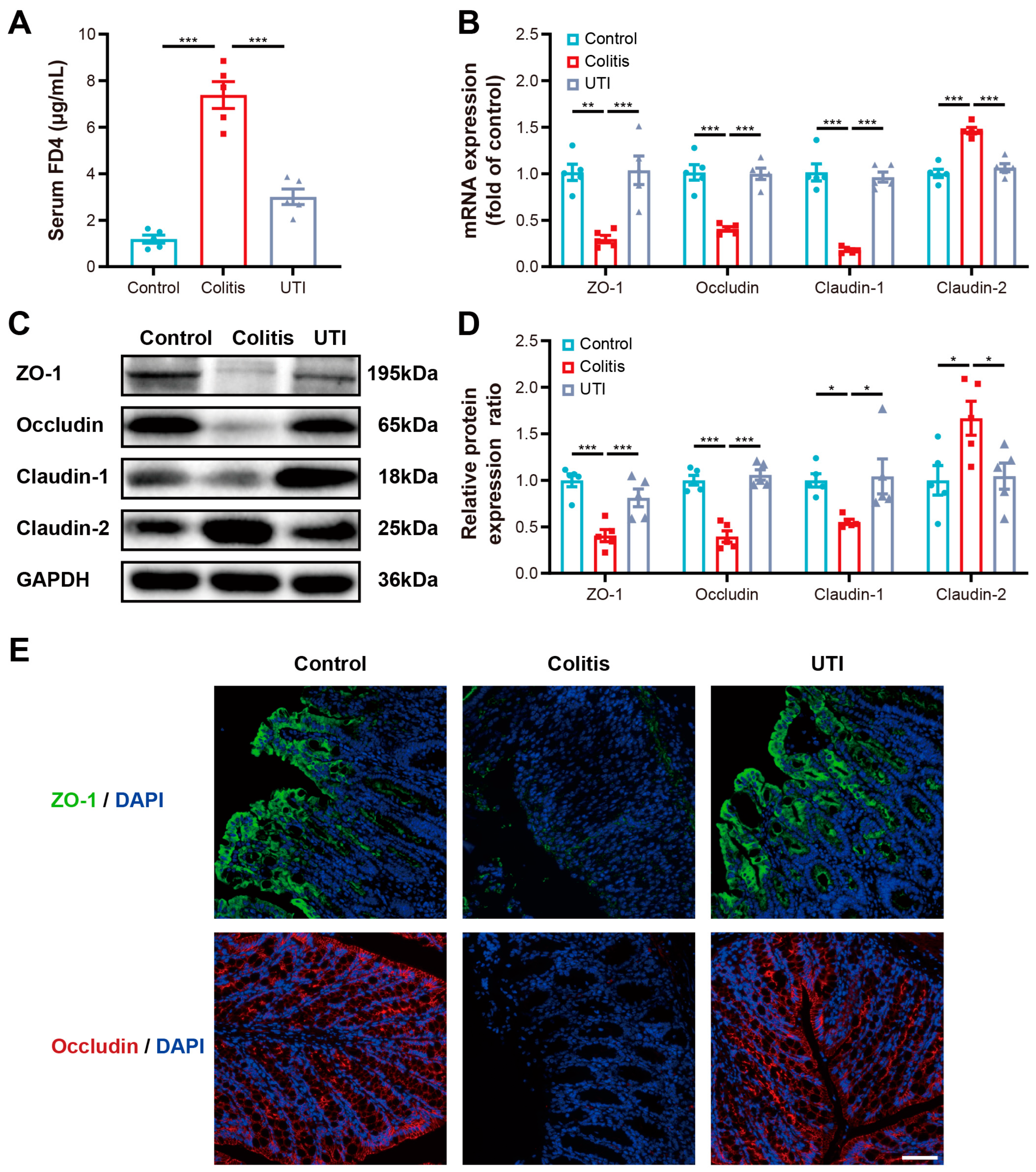 Antioxidants 13 00214 g004