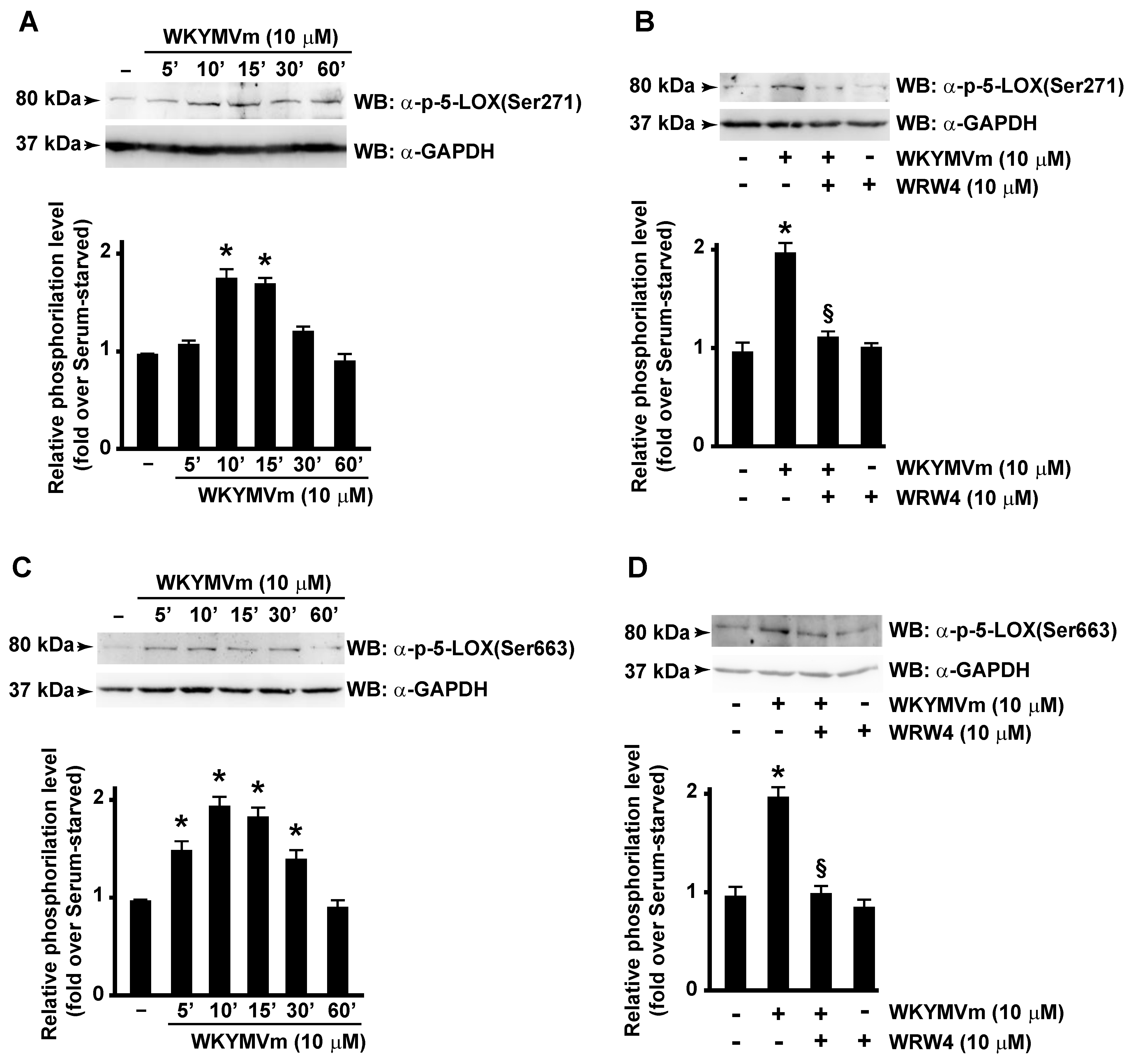 Antioxidants 13 00220 g003