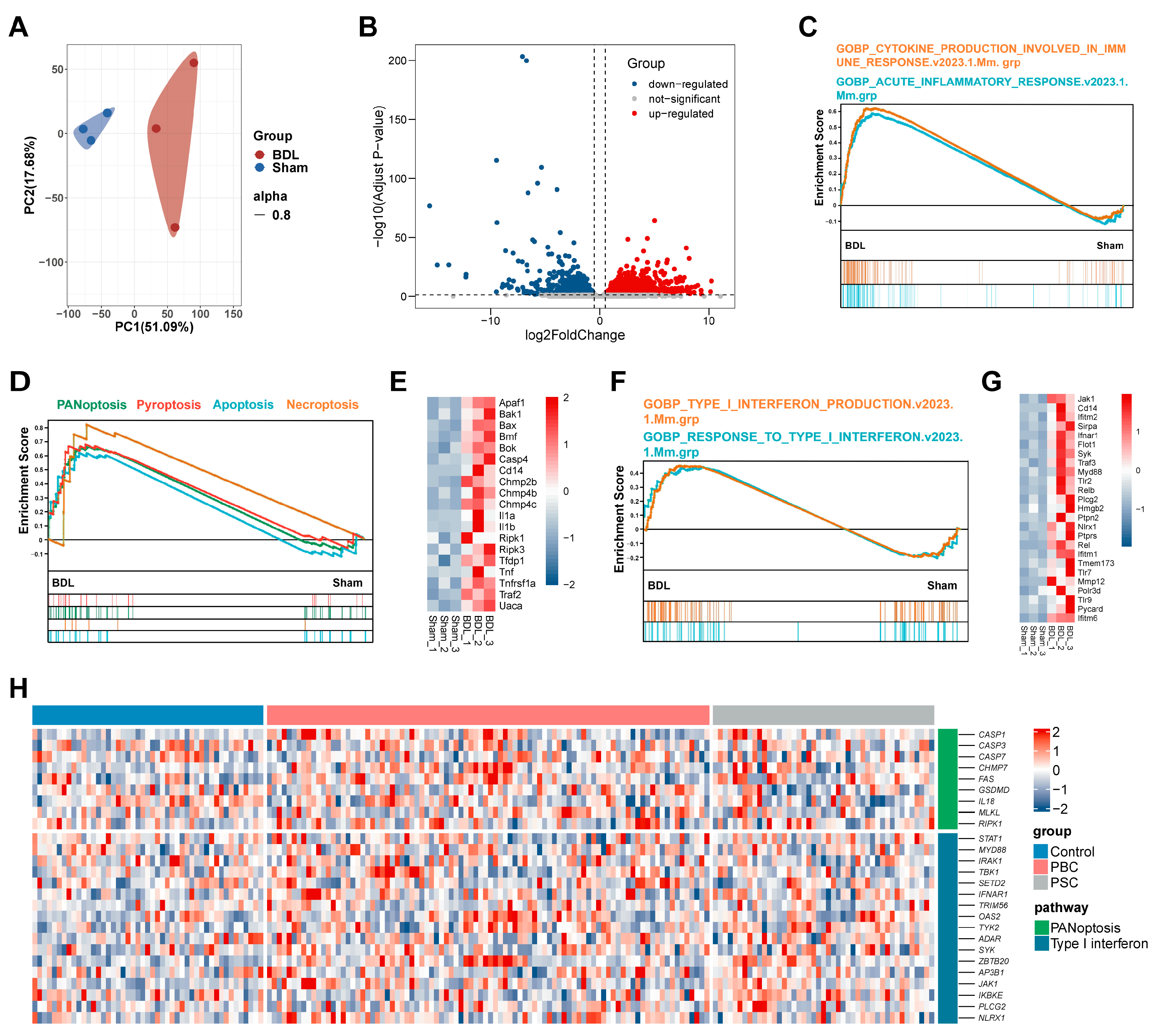 Antioxidants 13 00256 g002