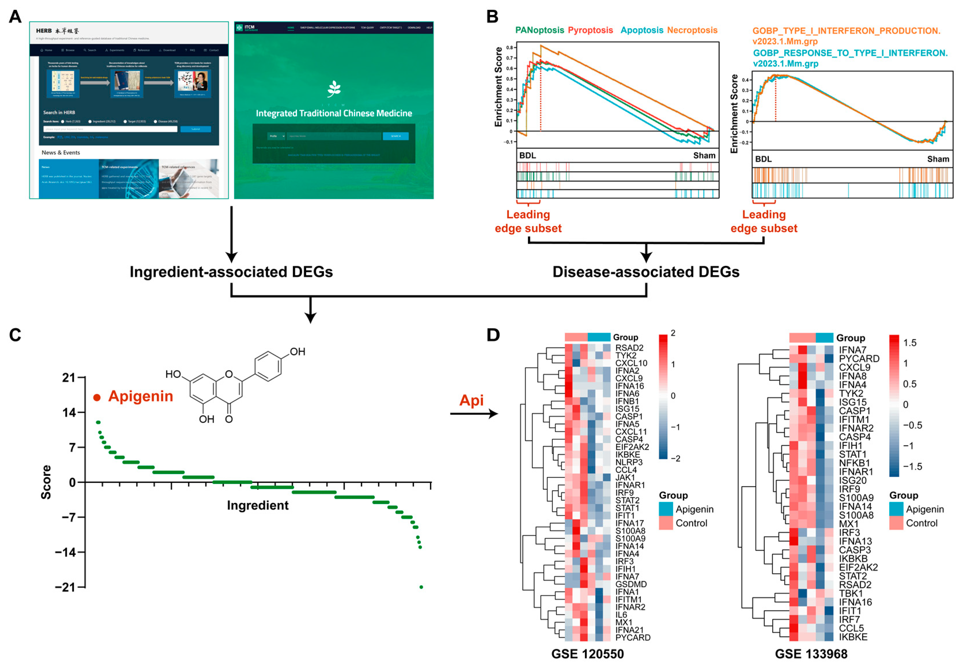 Antioxidants 13 00256 g003