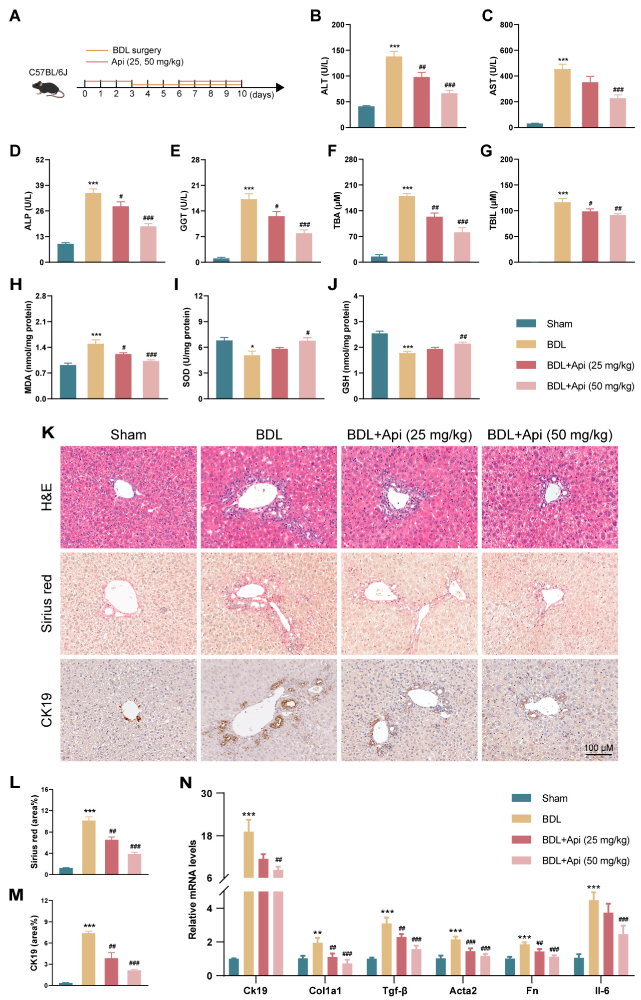 Antioxidants 13 00256 g004