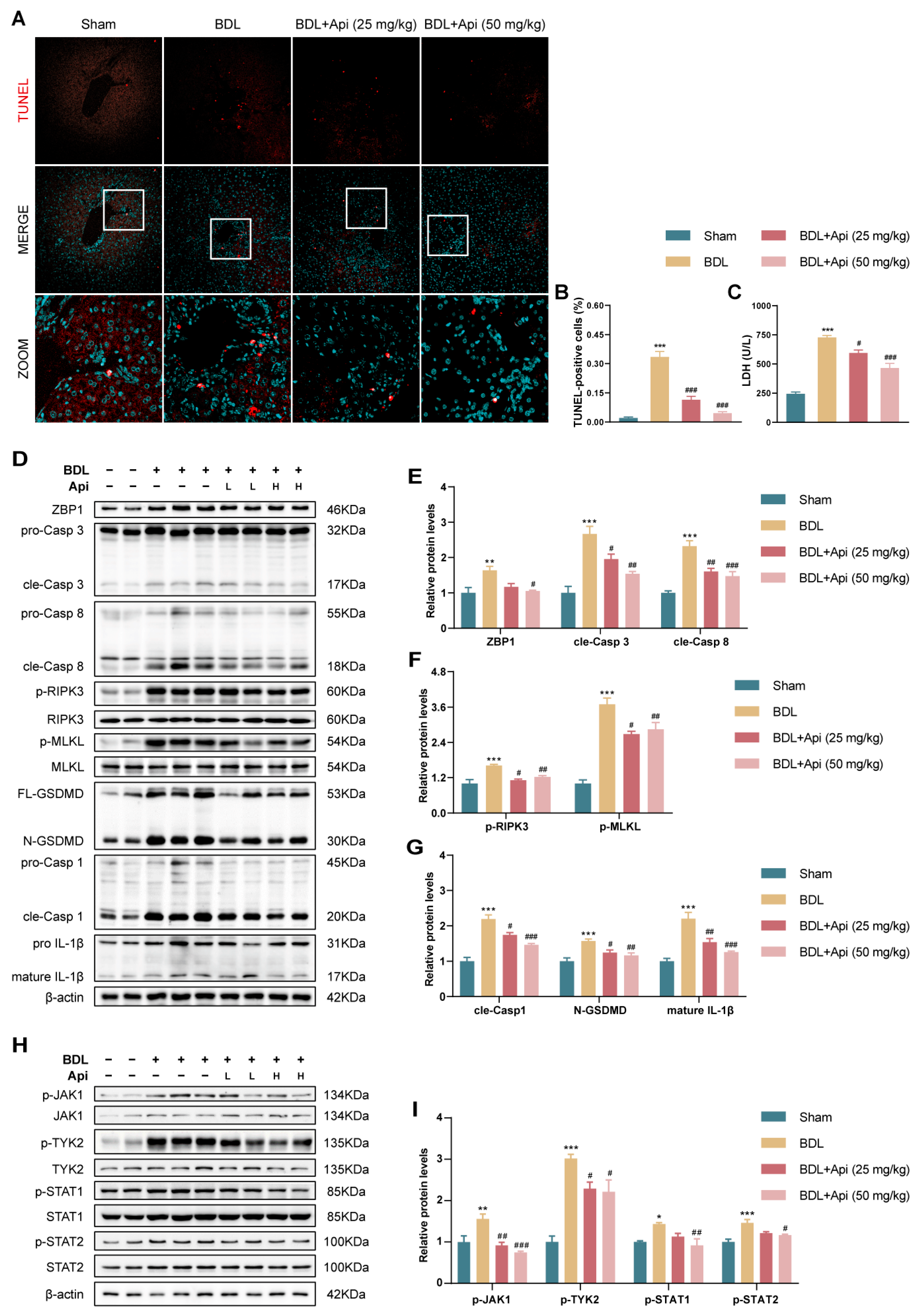 Antioxidants 13 00256 g005