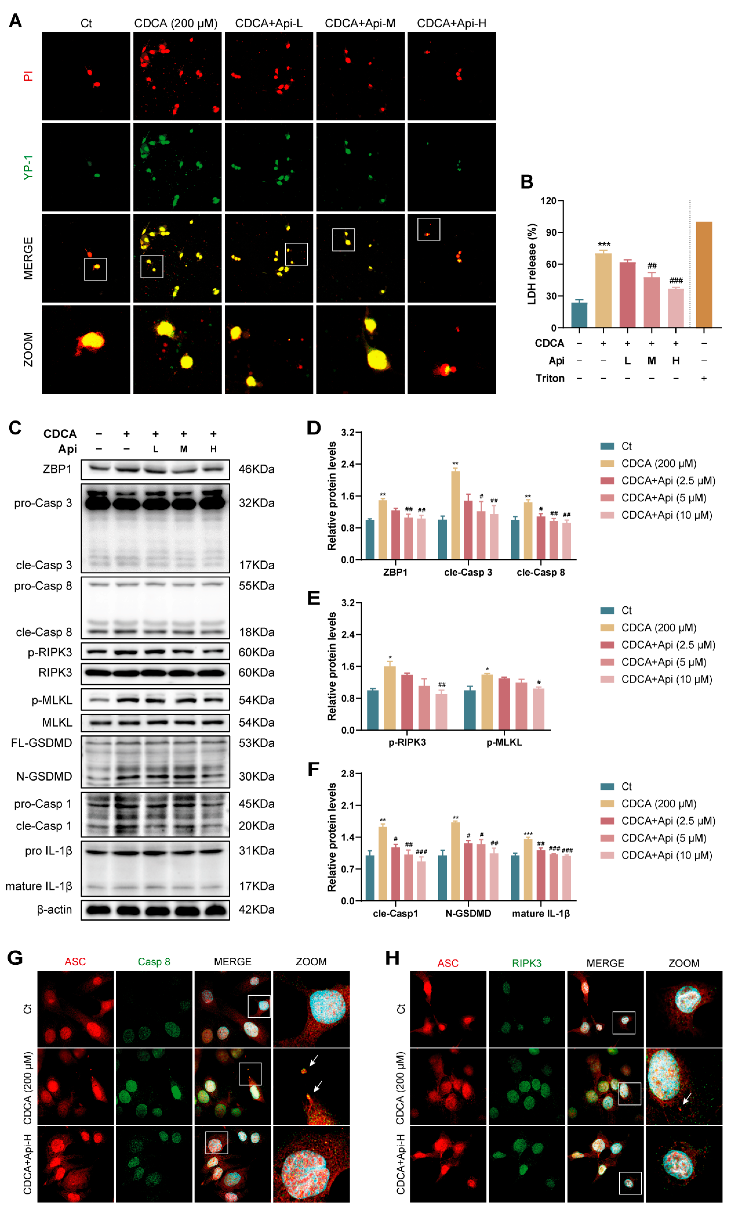Antioxidants 13 00256 g006