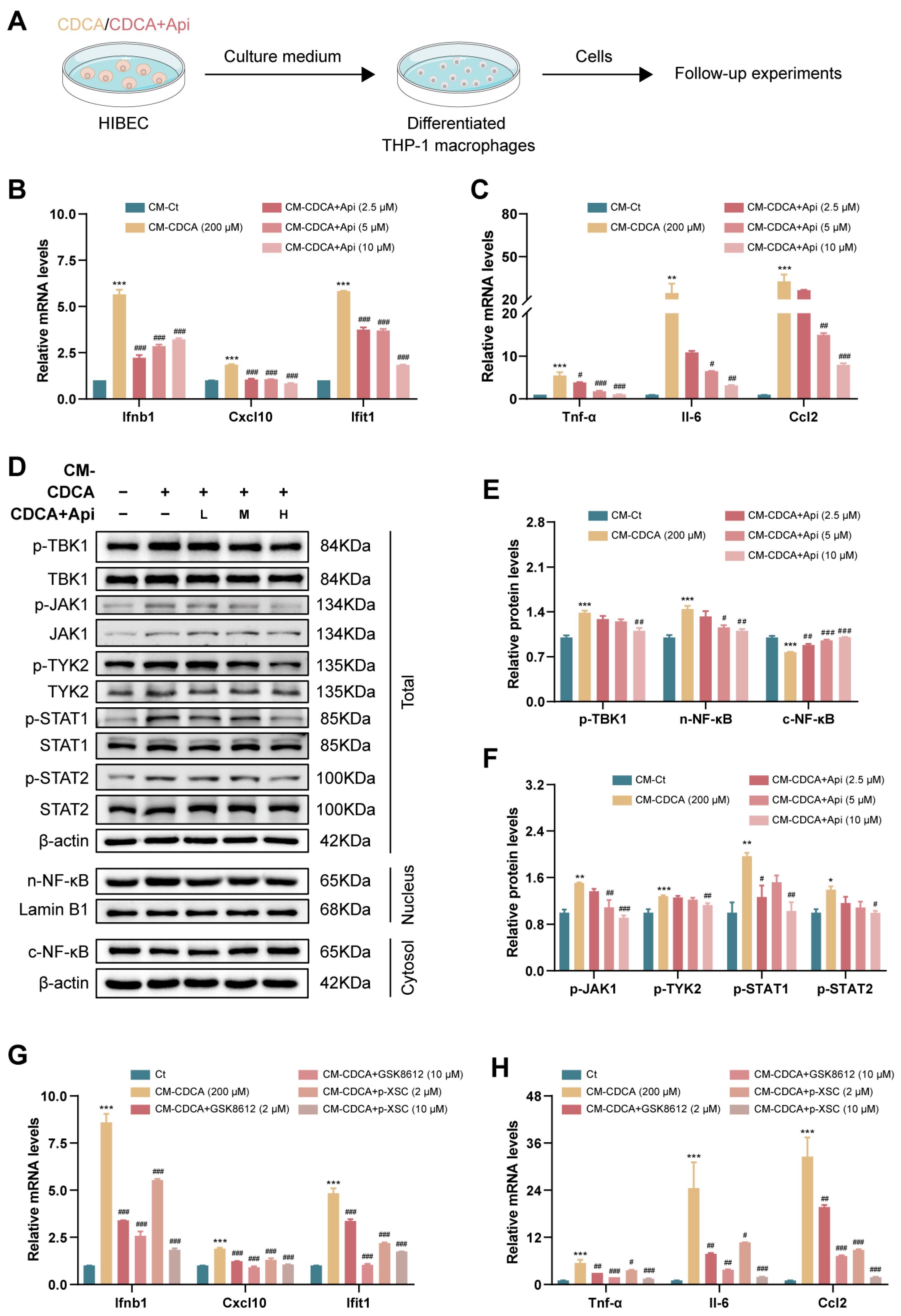 Antioxidants 13 00256 g007