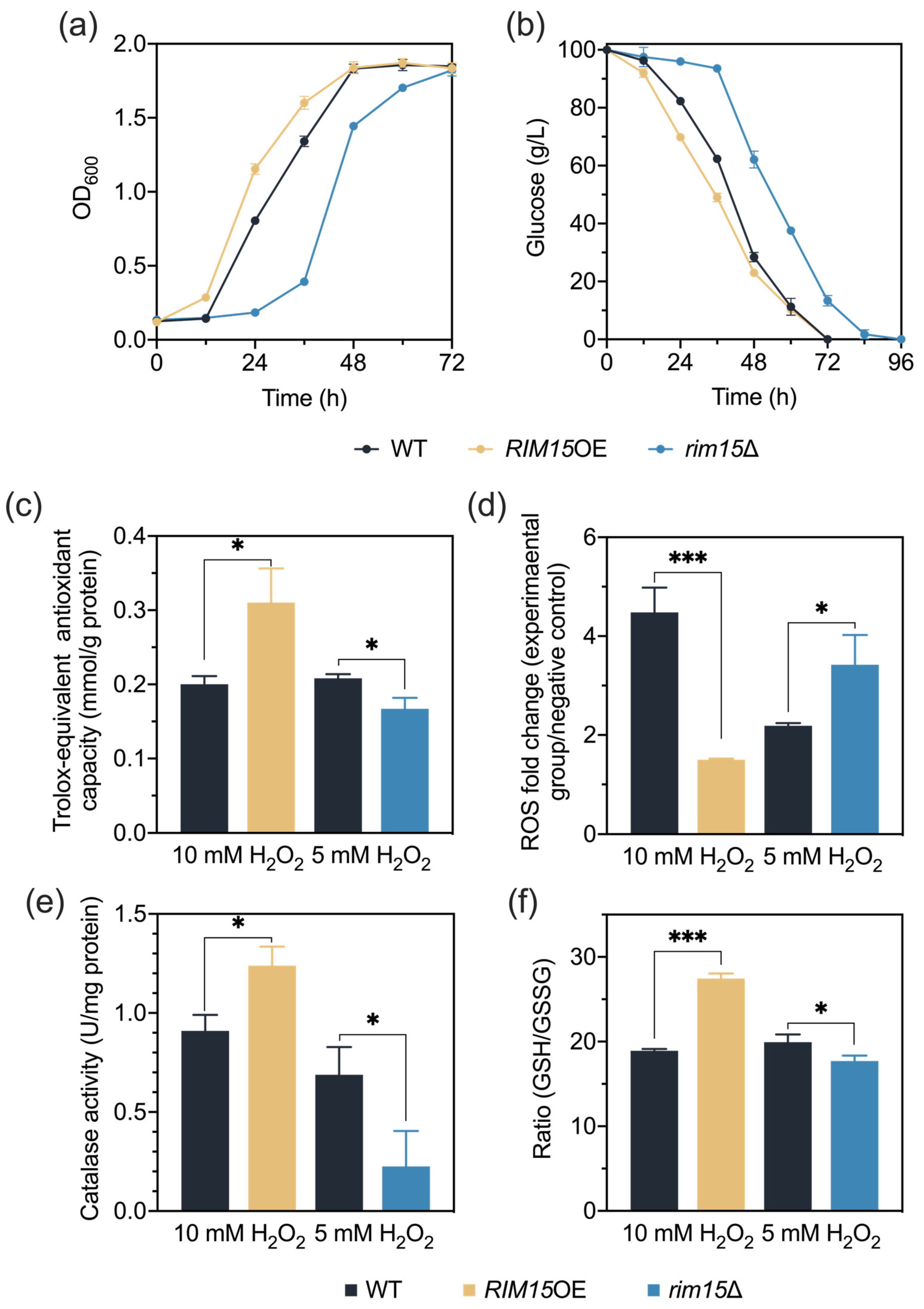 Antioxidants 13 00260 g005