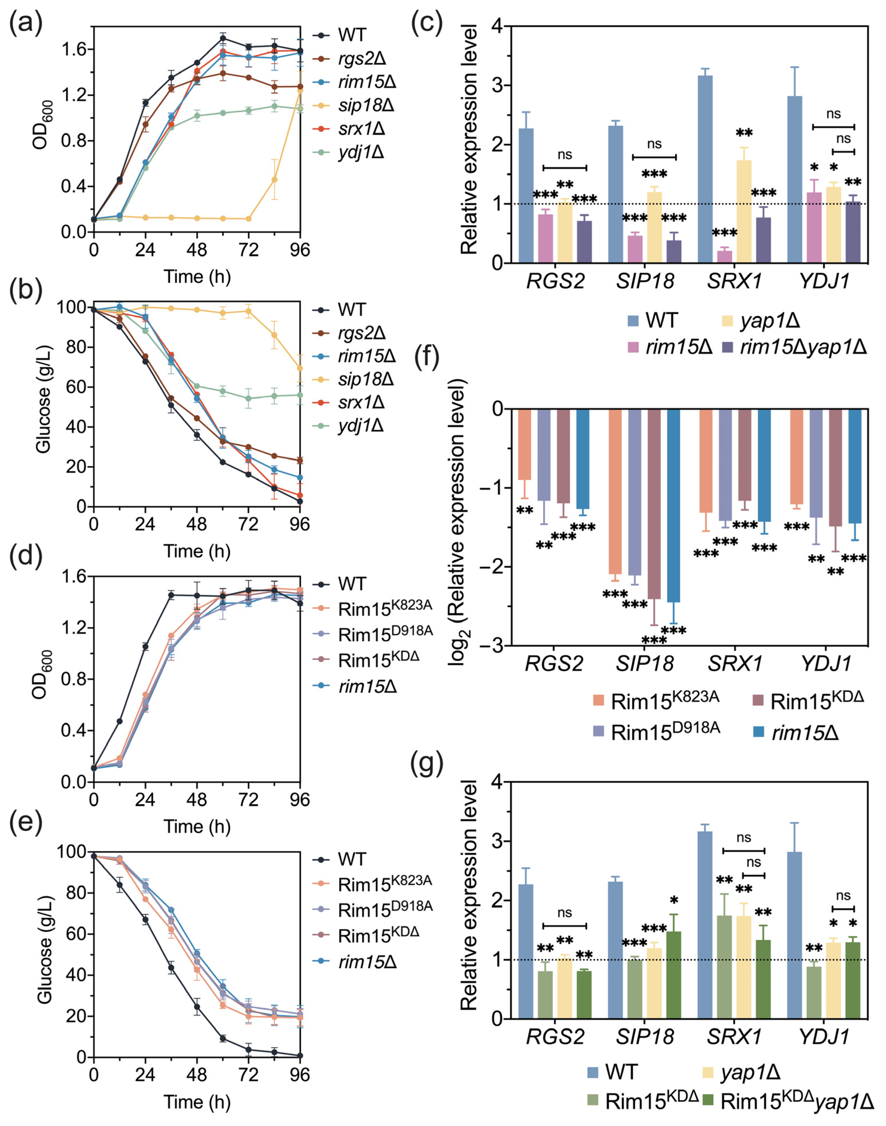 Antioxidants 13 00260 g006