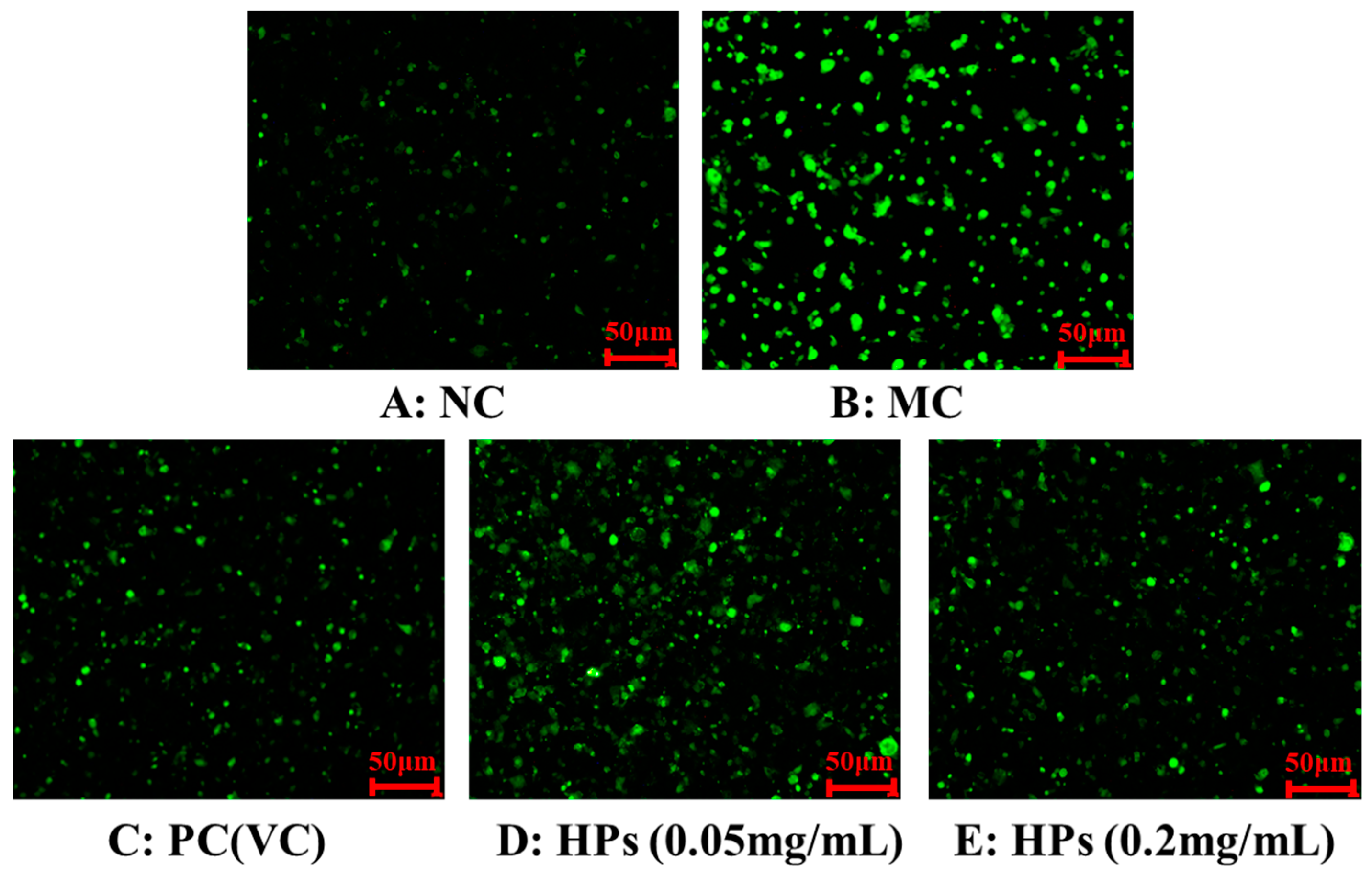 Antioxidants 13 00294 g005